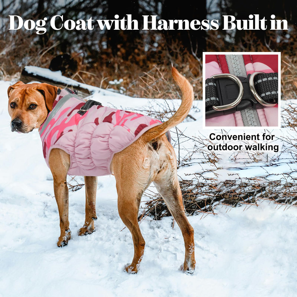 LeLePet elastic abdomen band prevents coat from riding up during play.