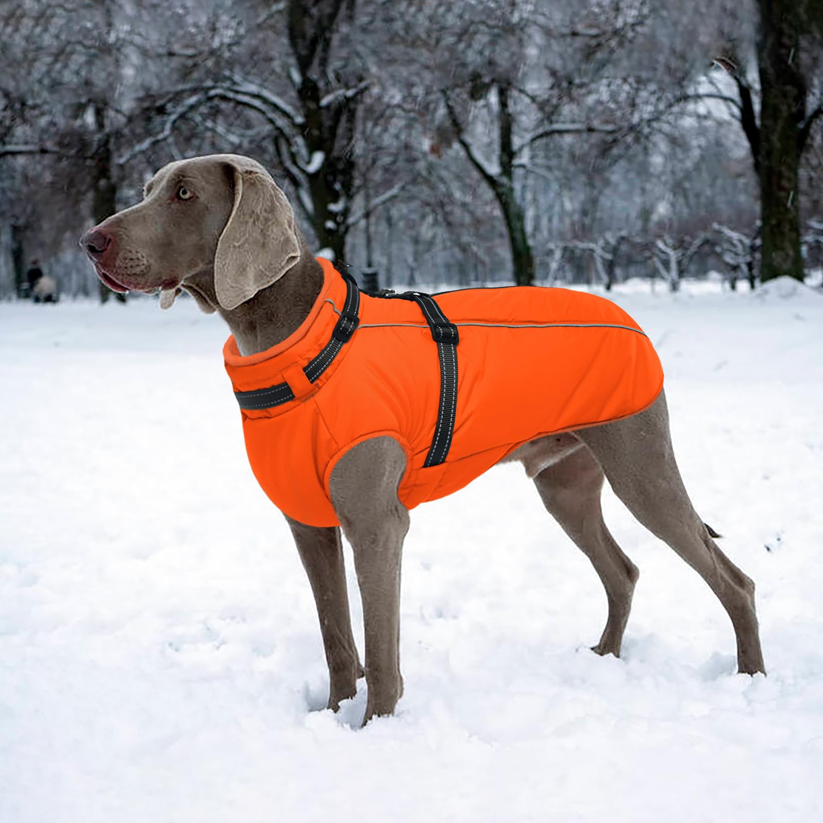 LelePet dog winter coat orange fleece-lined interior keeps dogs warm on cold days