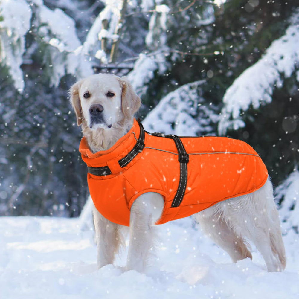 LelePet dog winter coat orange size range XS-3XL ensures a snug fit for many breeds