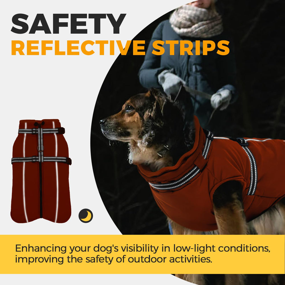 LelePet dog winter coat orange waterproof outer layer keeps your pup dry in rain