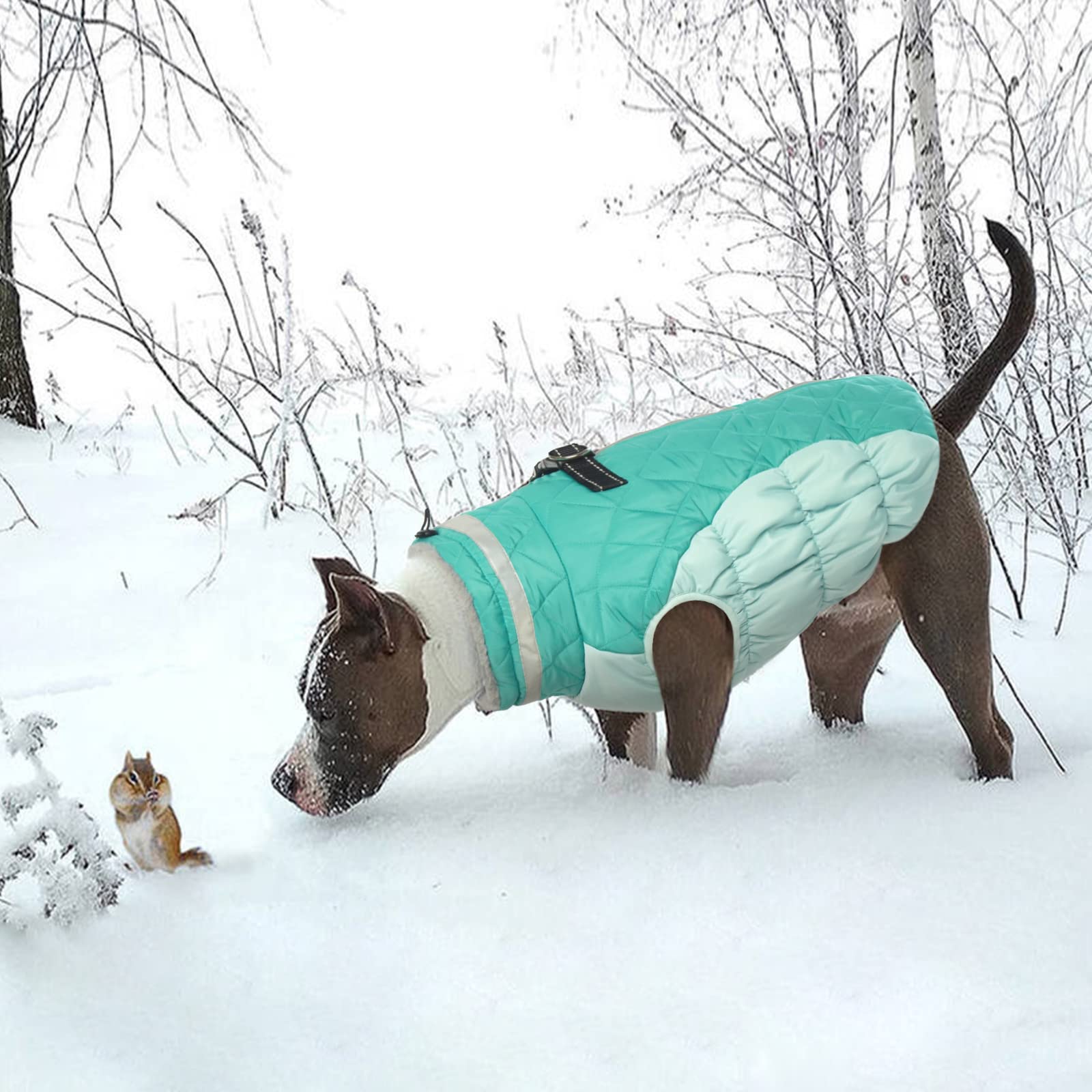 LeLePet durable dog winter outer fabric suits harsh winter days