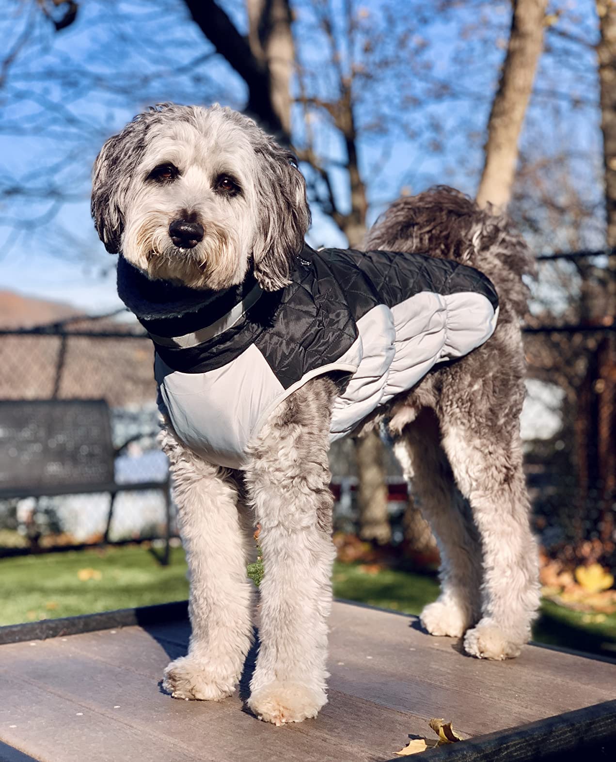 LeLePet machine washable coat simplifies after playtime cleanup