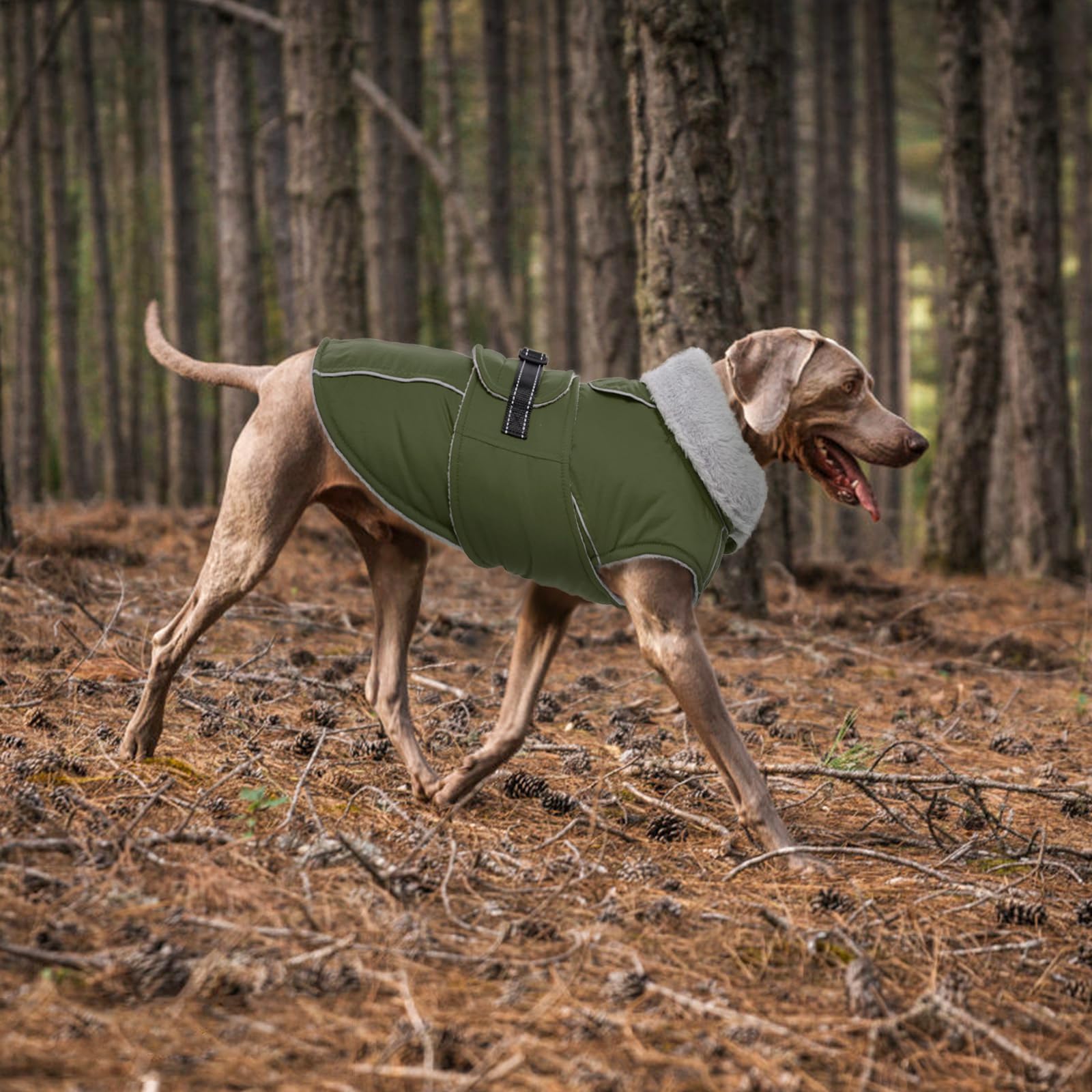LeLePet machine-washable dog coat for quick cleanup after adventures