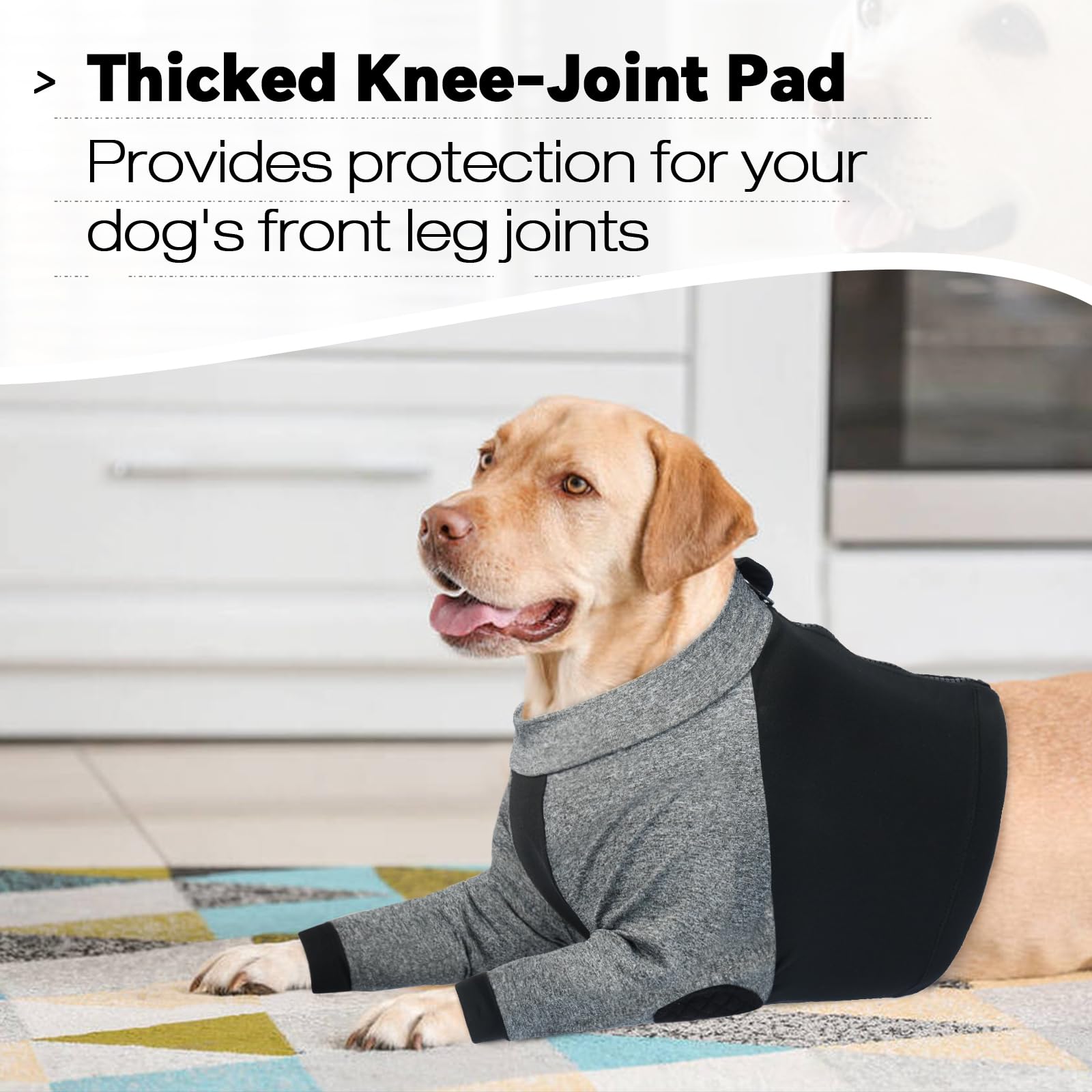 LeLePet cone-free recovery suit is a safe alternative to collars.