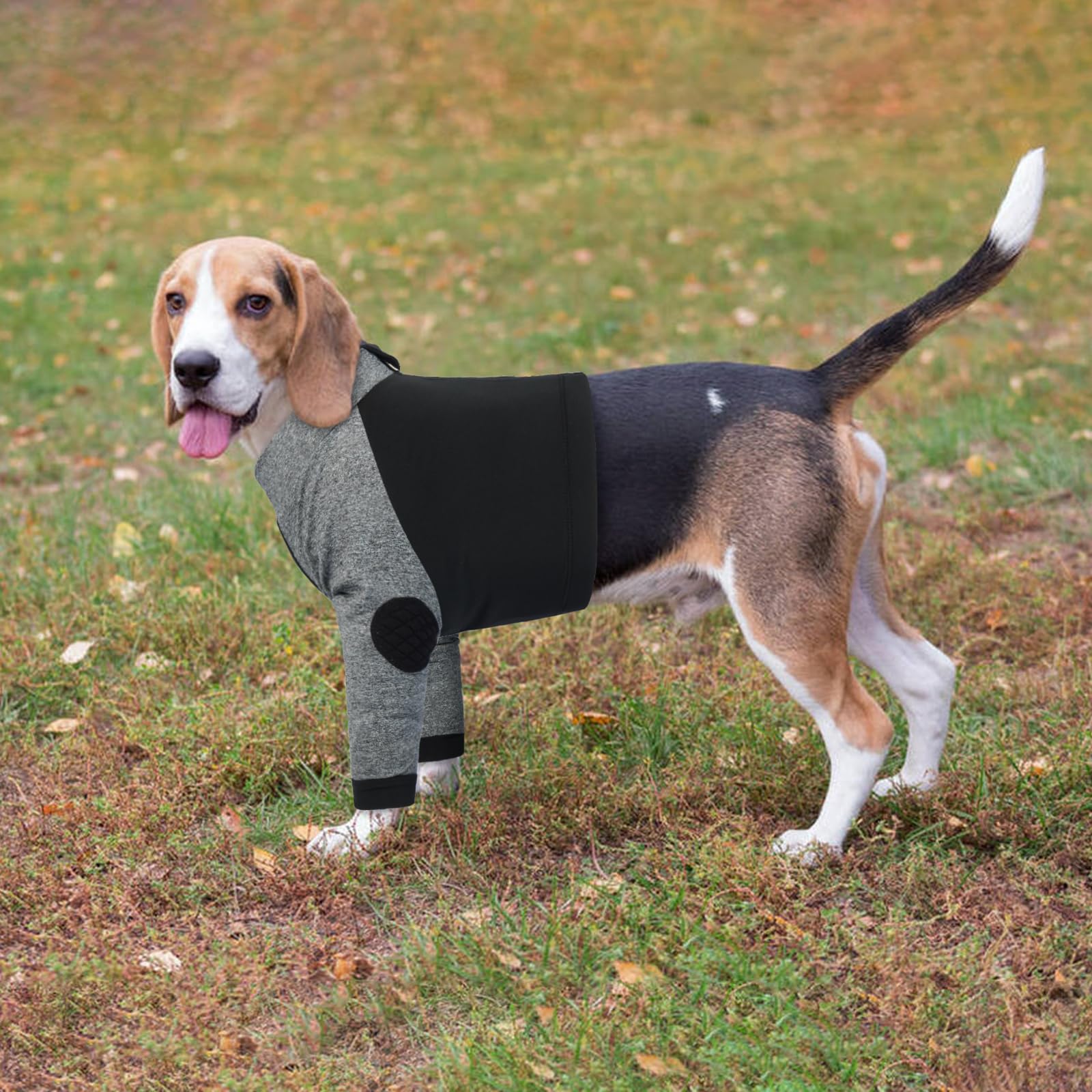 LeLePet recovery sleeve protects front legs for licking prevention.