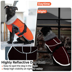 LeLePet reflective dog jacket under streetlights for safer night walks.