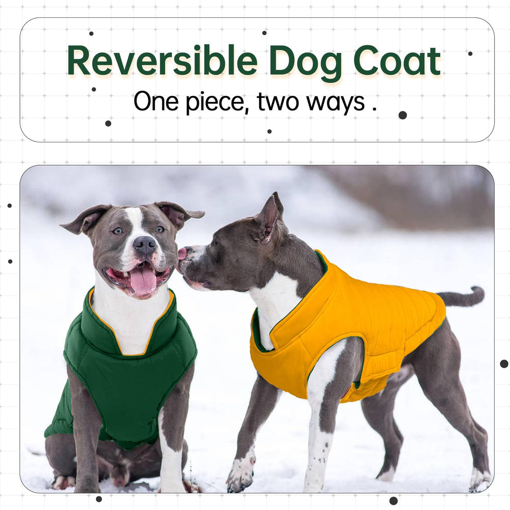 LeLePet reversible dog coat back view reveals two stylish options in one garment