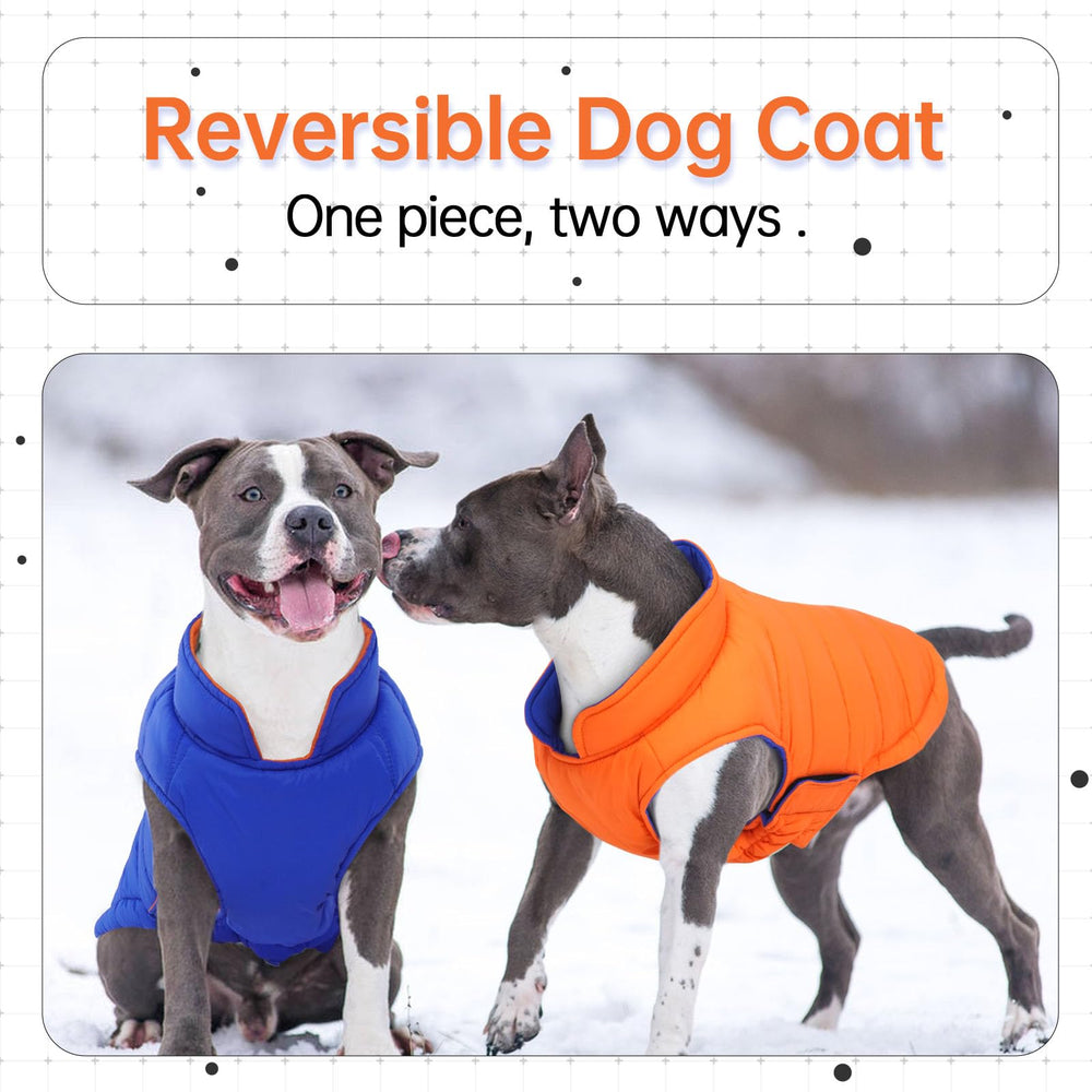 LeLePet reversible dog coat side view shows two color options for versatile outdoor style