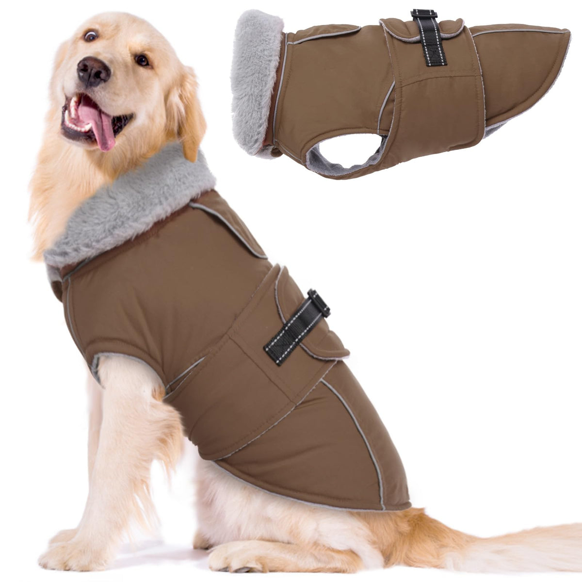 LeLePet warm dog coat front view shows windproof warmth for cold walks