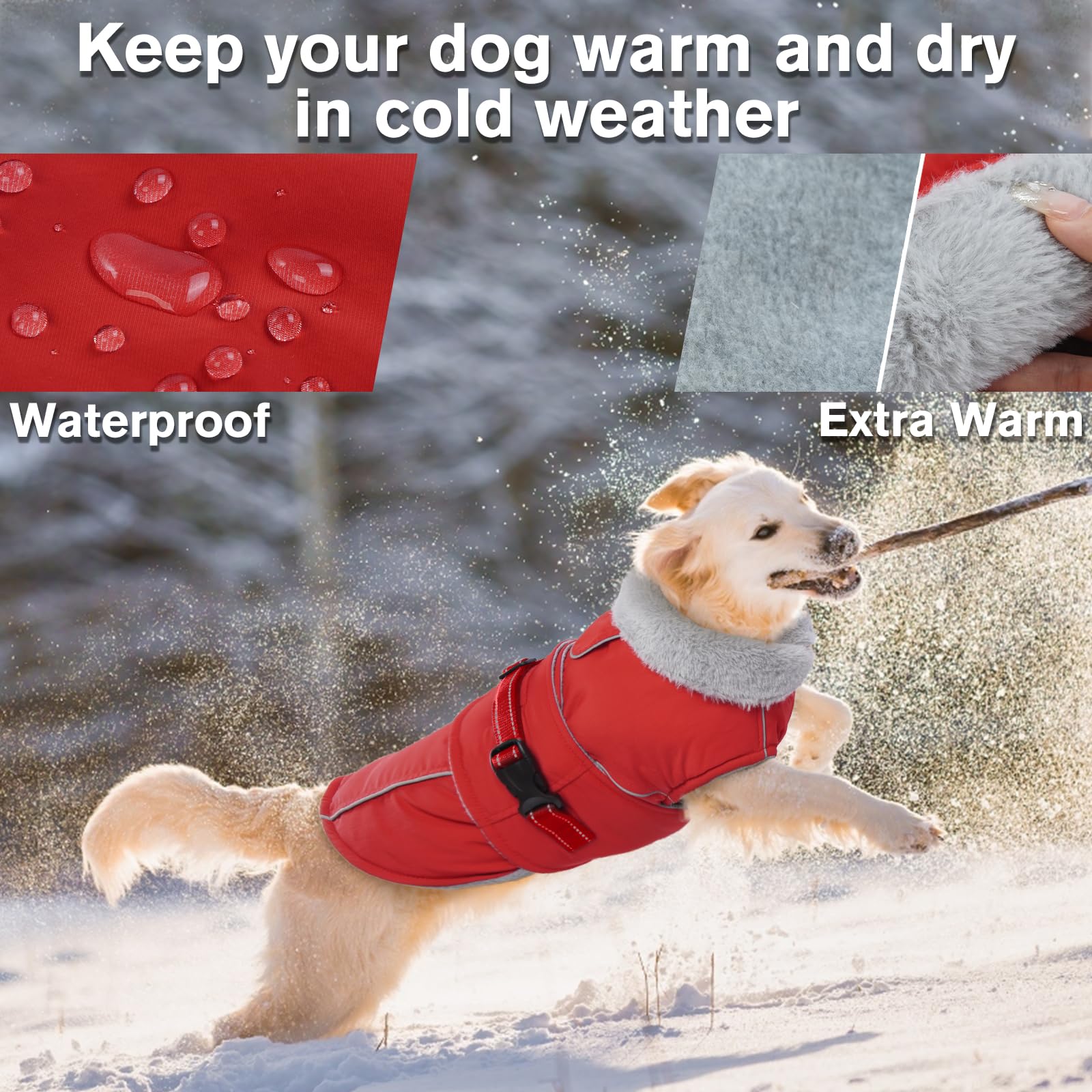 LeLePet Warm Dog Coat back view showing waterproof shell
