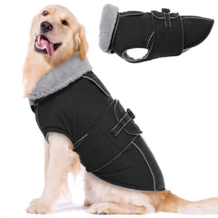 LeLePet Warm Dog Coat front view demonstrates a snug, windproof fit for chilly walks.