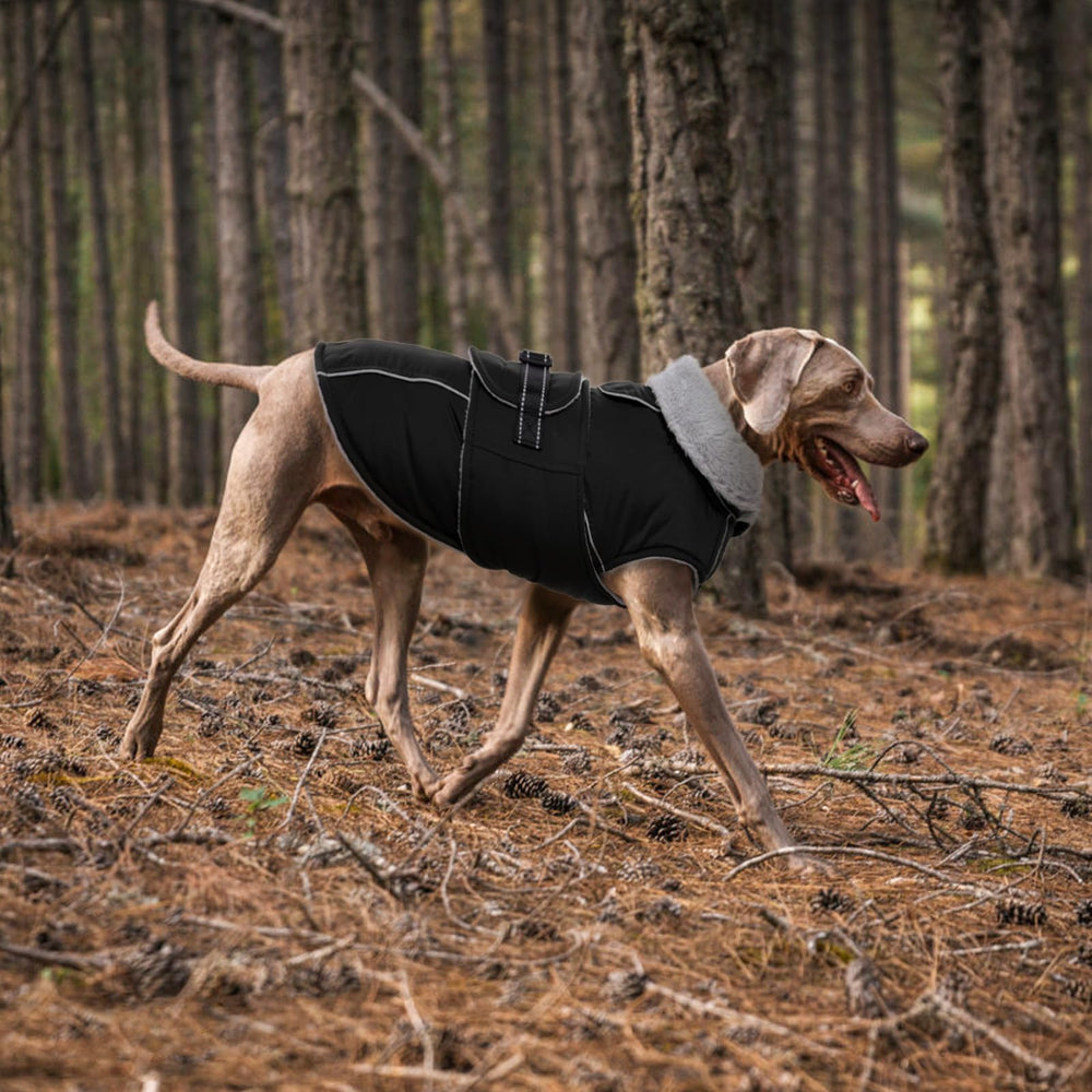 LeLePet Warm Dog Coat machine washable for easy cleanup after adventures.
