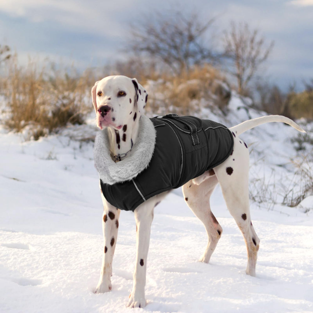 LeLePet Warm Dog Coat windproof design for cold outdoor adventures