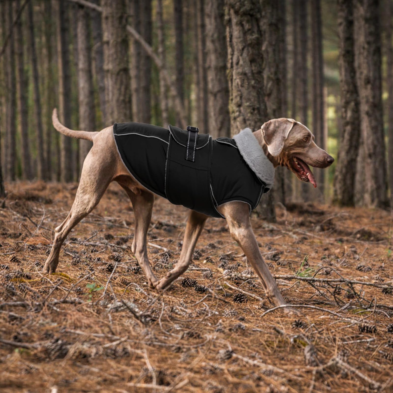 LeLePet Warm Dog Coat XL size provides full coverage for large dogs