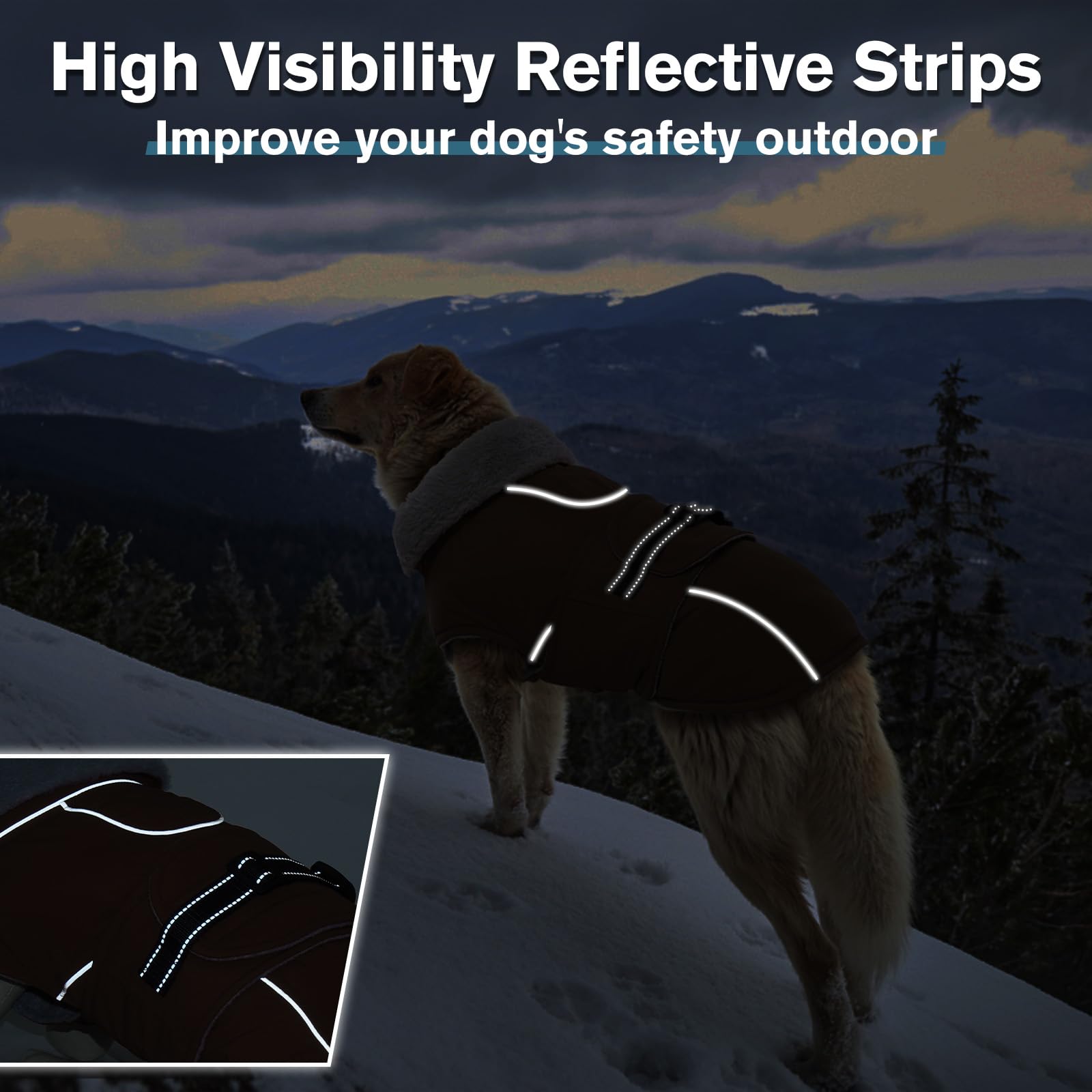 LeLePet fleece-lined interior close-up shows soft insulation for cold-weather comfort