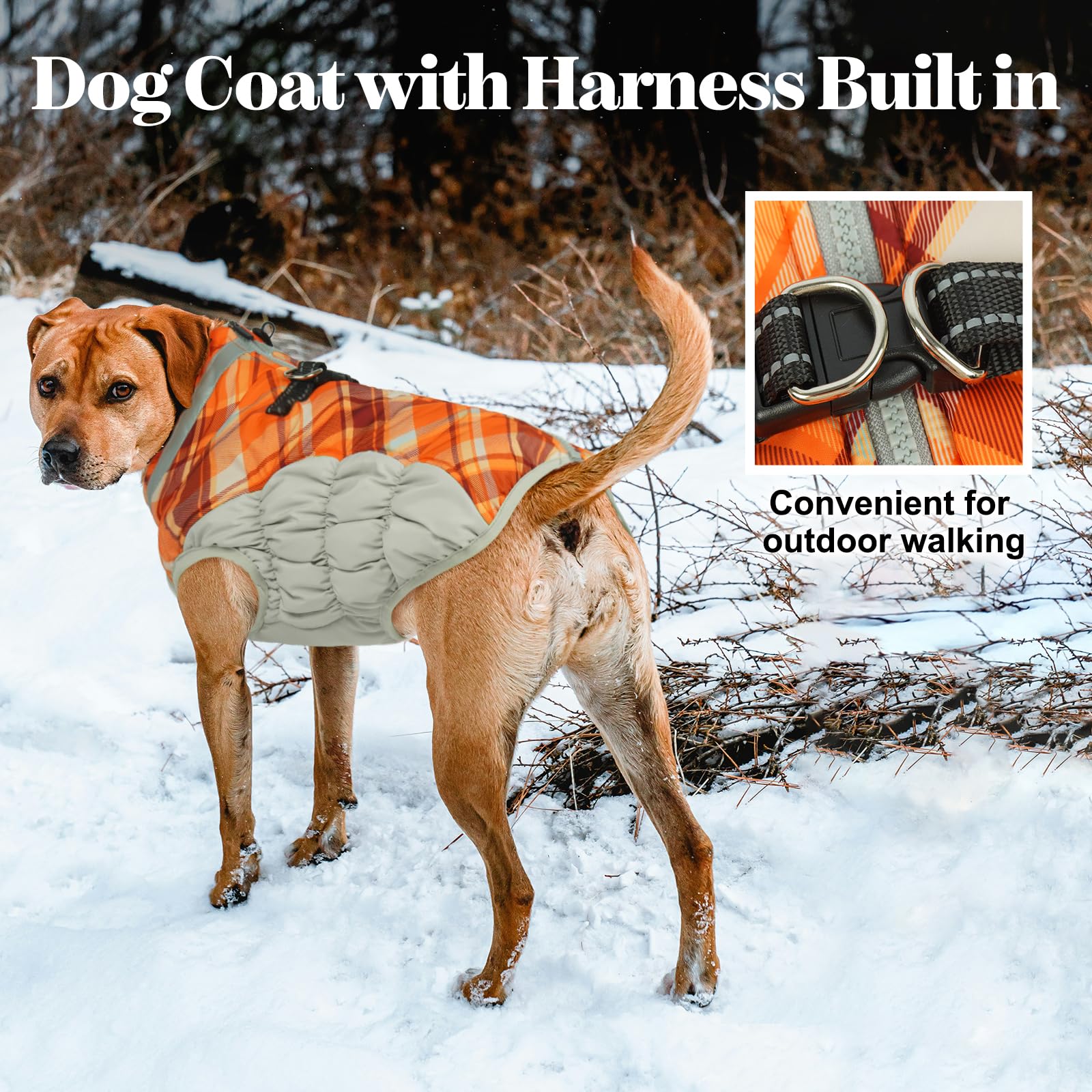 LeLePet windproof fleece vest showcasing back zipper that won’t snag fur.