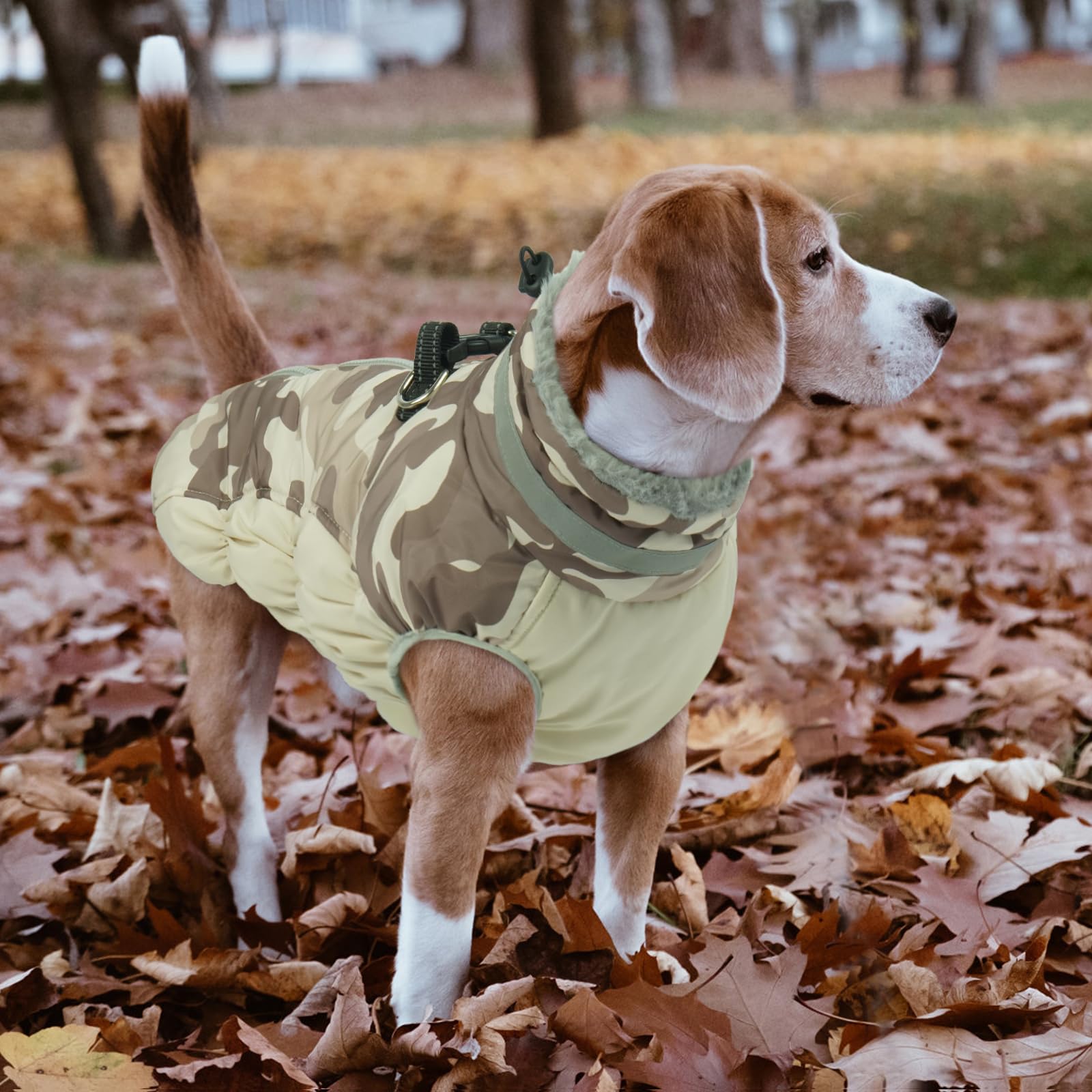 LeLePet Warm Coat color variants showcase nineteen color options for breeds
