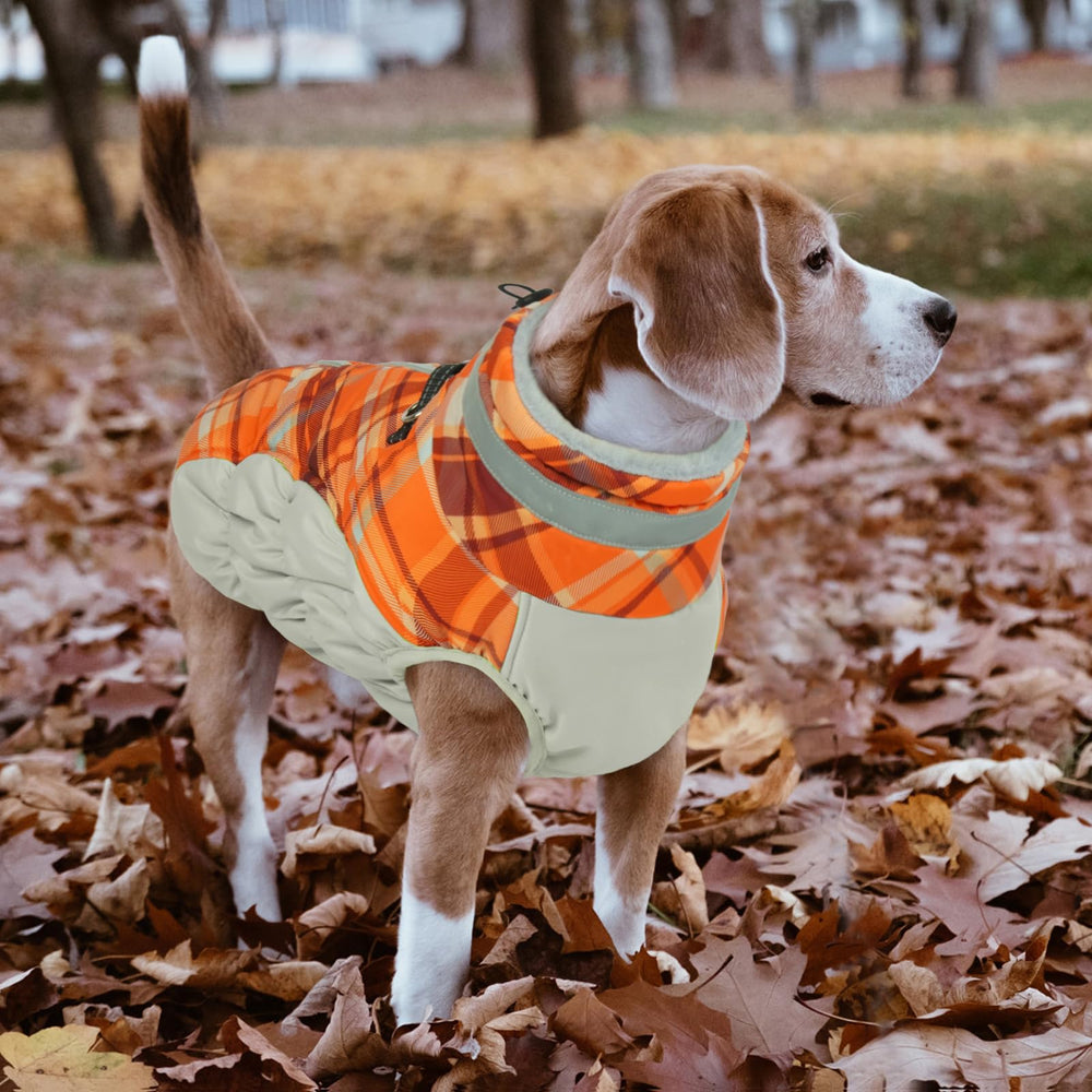 LeLePet large dog coat with elastic abdomen band for secure comfort.