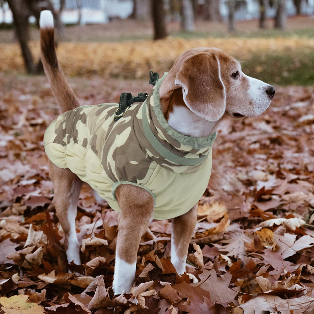 LeLePet machine-washable coat simplifies cleaning after adventures