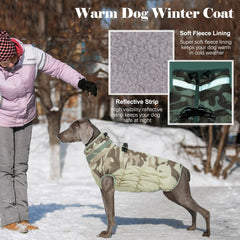 LeLePet plush turtleneck keeps the neck warm and comfy