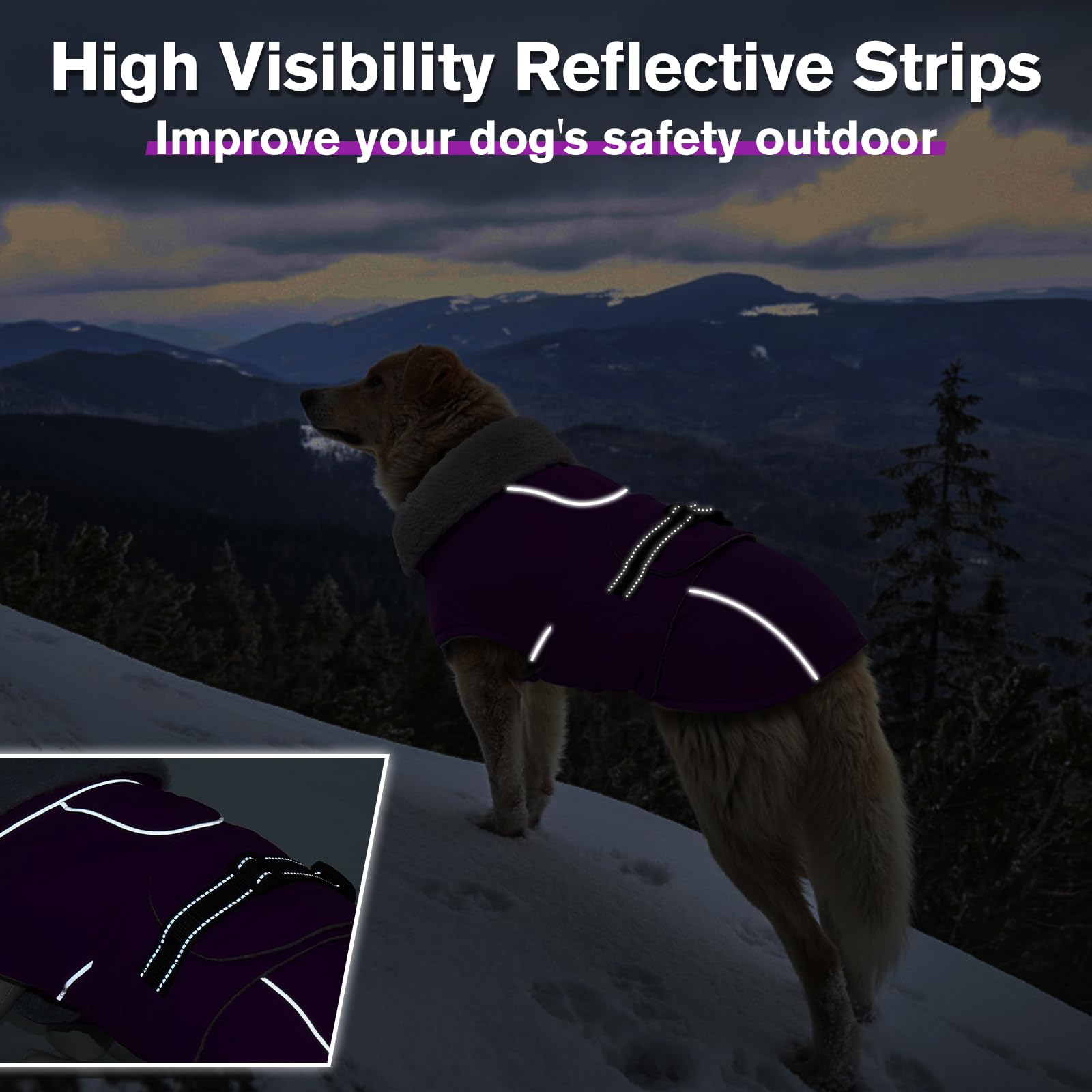 Lelepet warm dog winter coat back view demonstrates secure strap design.