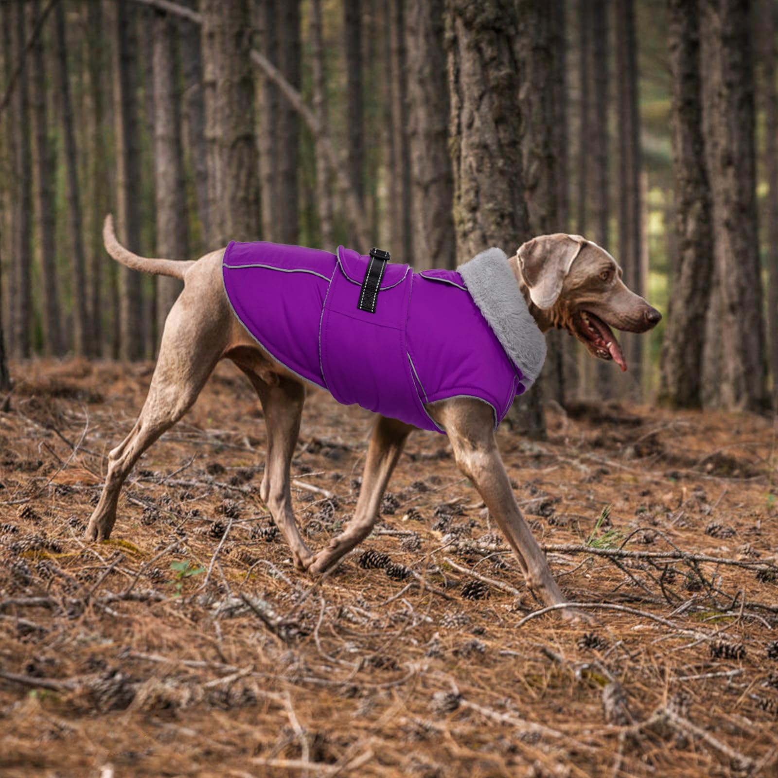 Lelepet warm dog winter coat size chart helps proper fit.