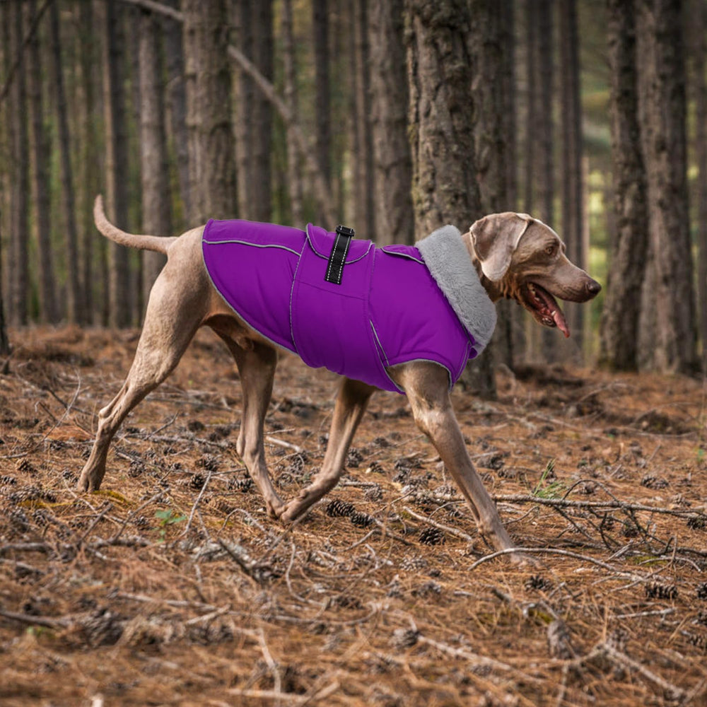 Lelepet warm dog winter coat size chart helps proper fit.