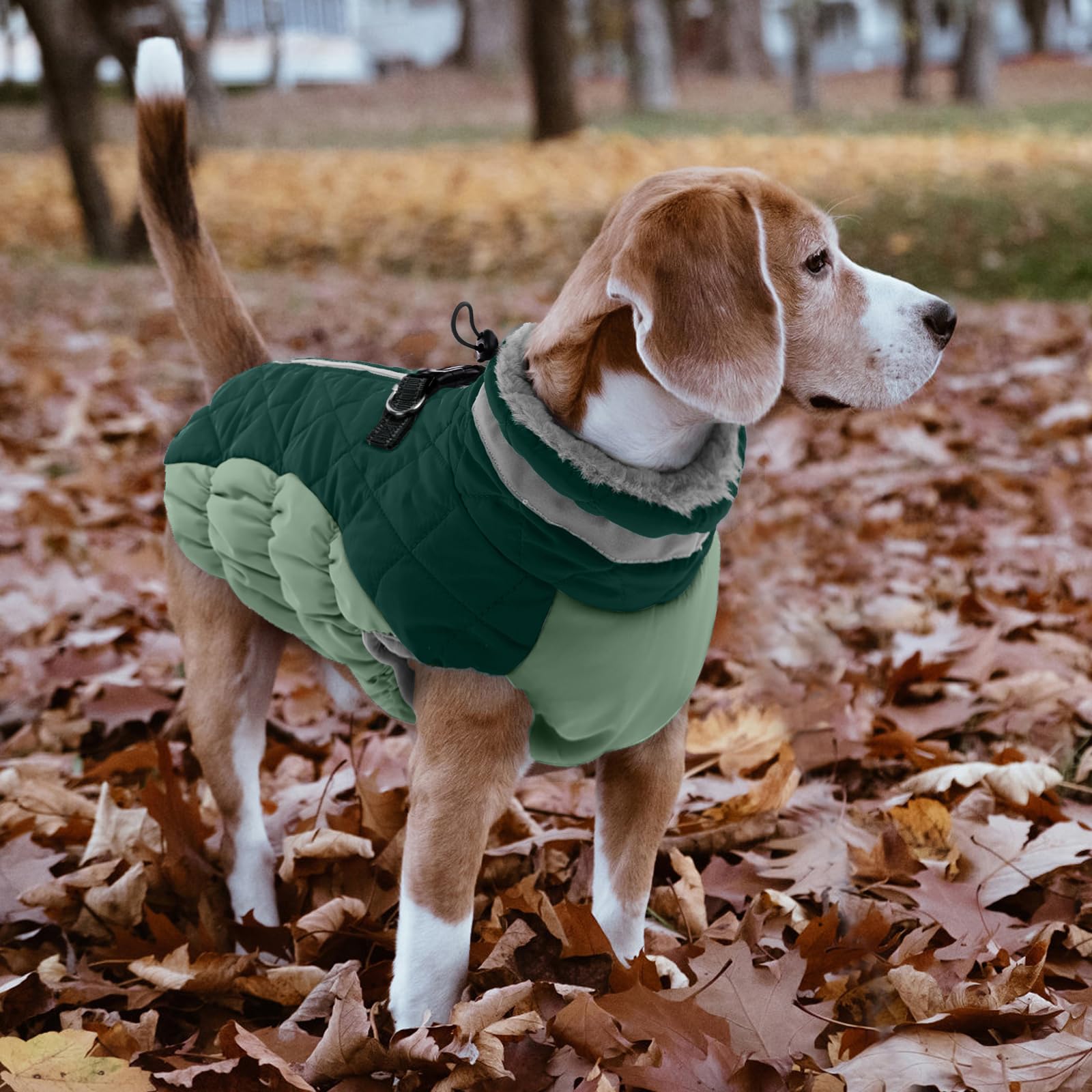LeLePet warm dog coat adjustable cuffs—comfort without chafing during movement