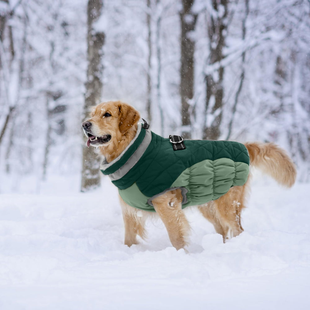 LeLePet warm dog coat back zipper—smooth operation reduces hair snag