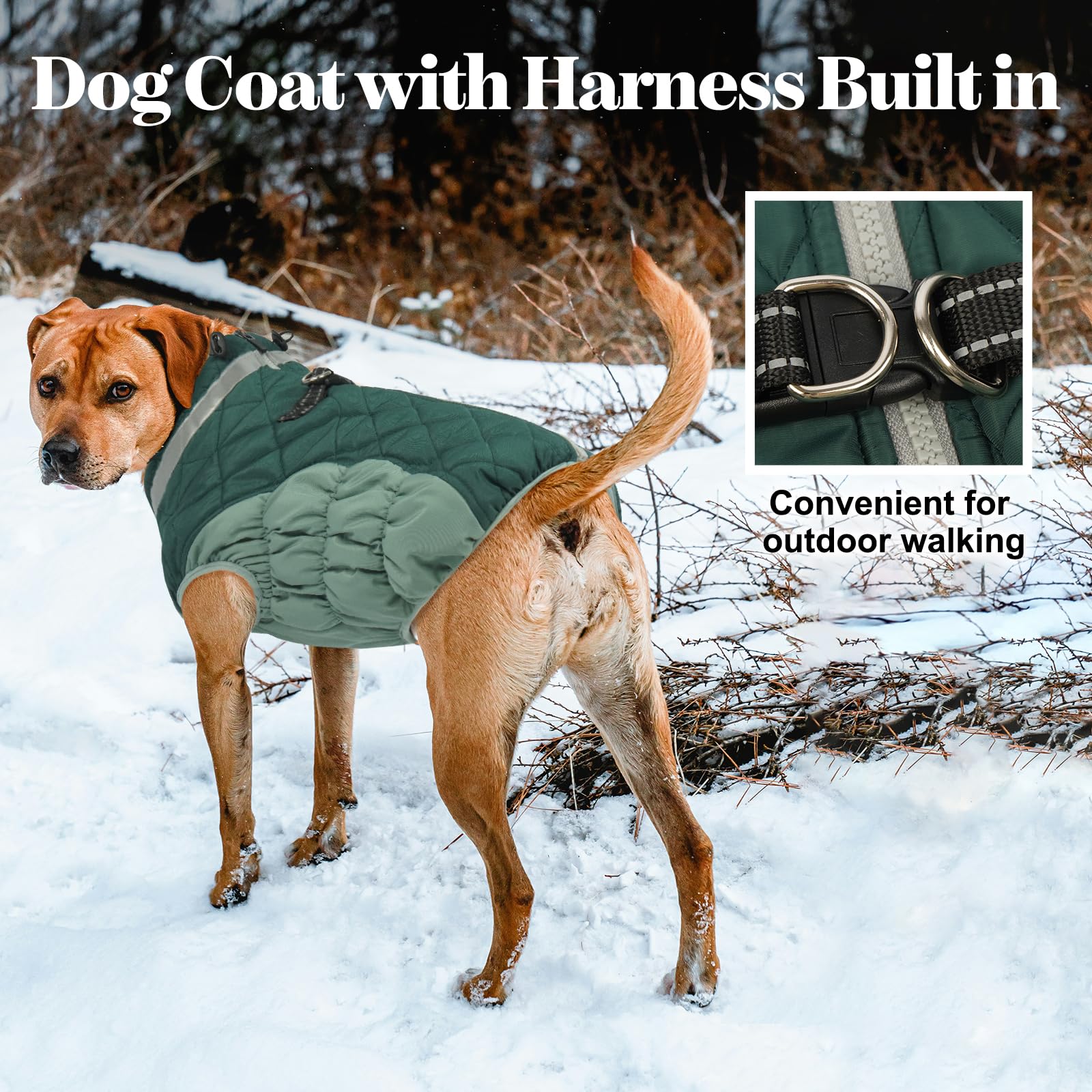 LeLePet warm dog coat plush turtleneck collar—cozy neck protection