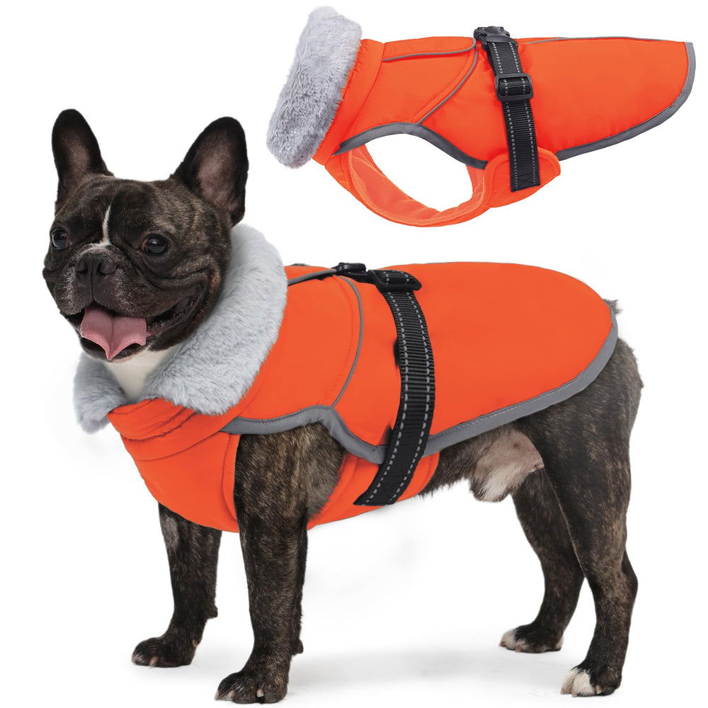 LeLePet warm dog winter coat on snowy sidewalk, showcasing waterproof outer layer for dry, comfortable walks.