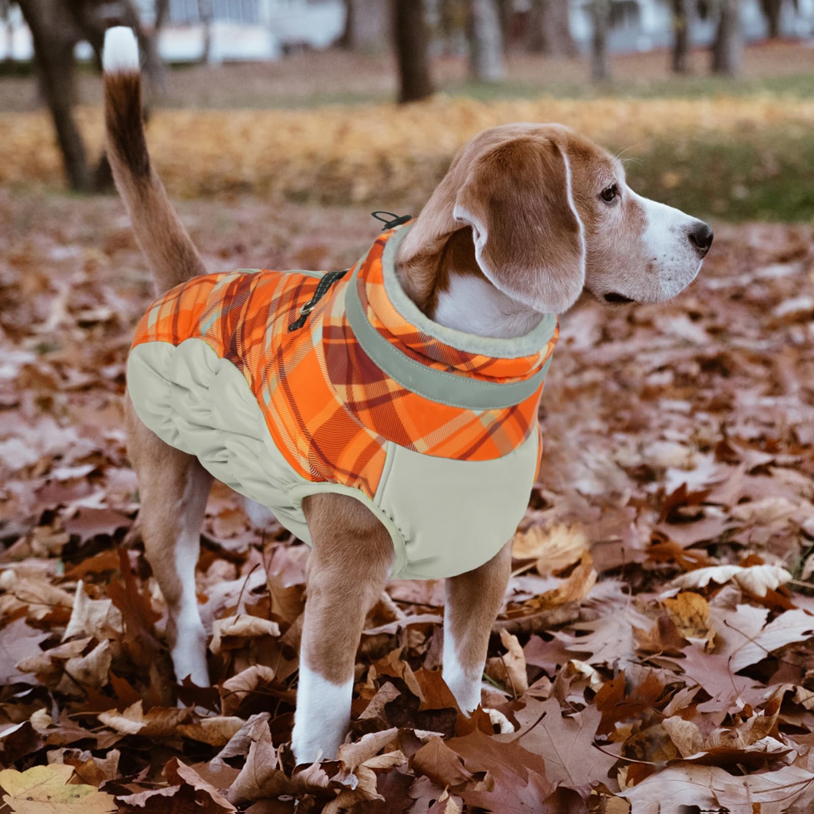LeLePet warm dog winter coat zipper detail keeps hair smooth during dressing