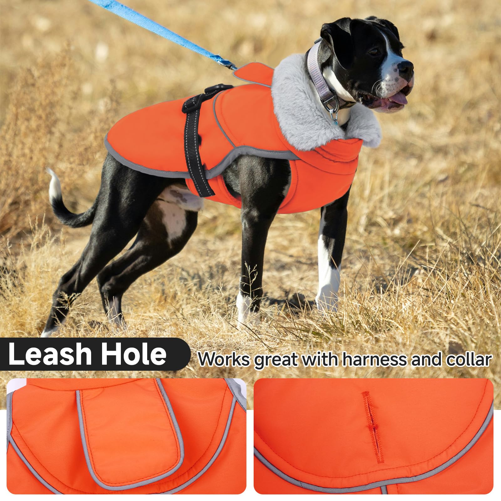 LeLePet warm plush collar detail adds extra warmth.