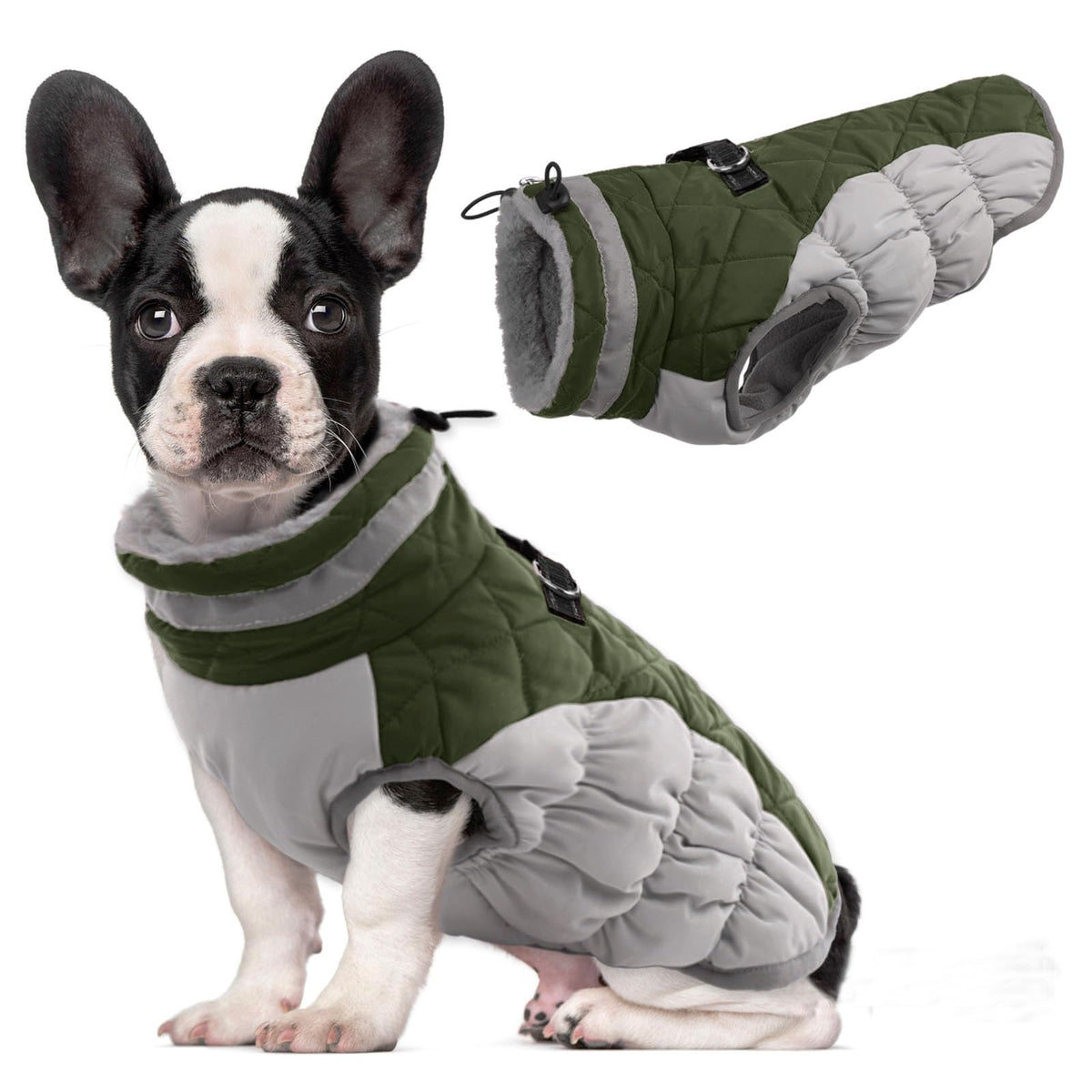 LeLePet waterproof-fleece-lining coat keeps dogs warm during rainy walks.