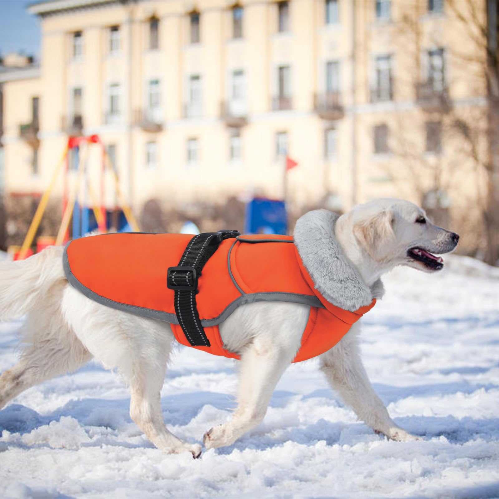 LeLePet waterproof windproof outer layer protects during storms.