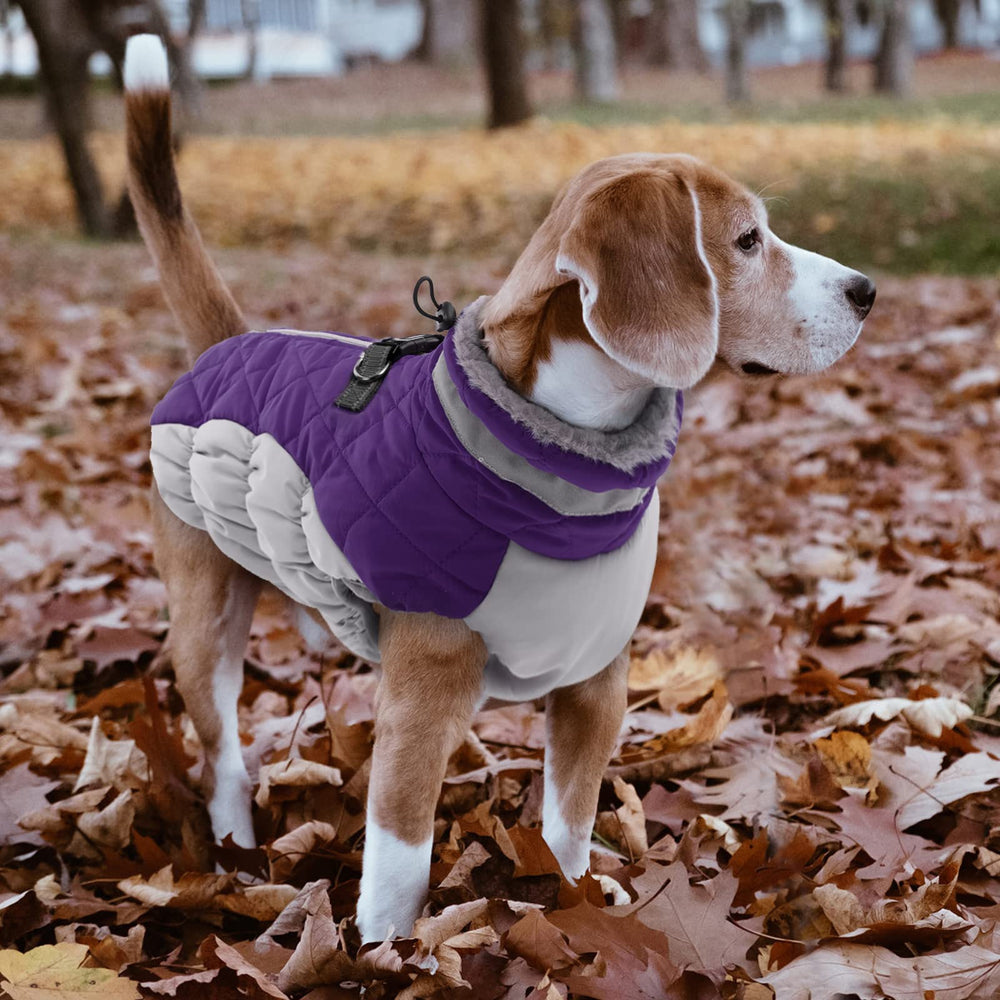 LeLePet windproof coat for large dogs with snug cuffs and fit