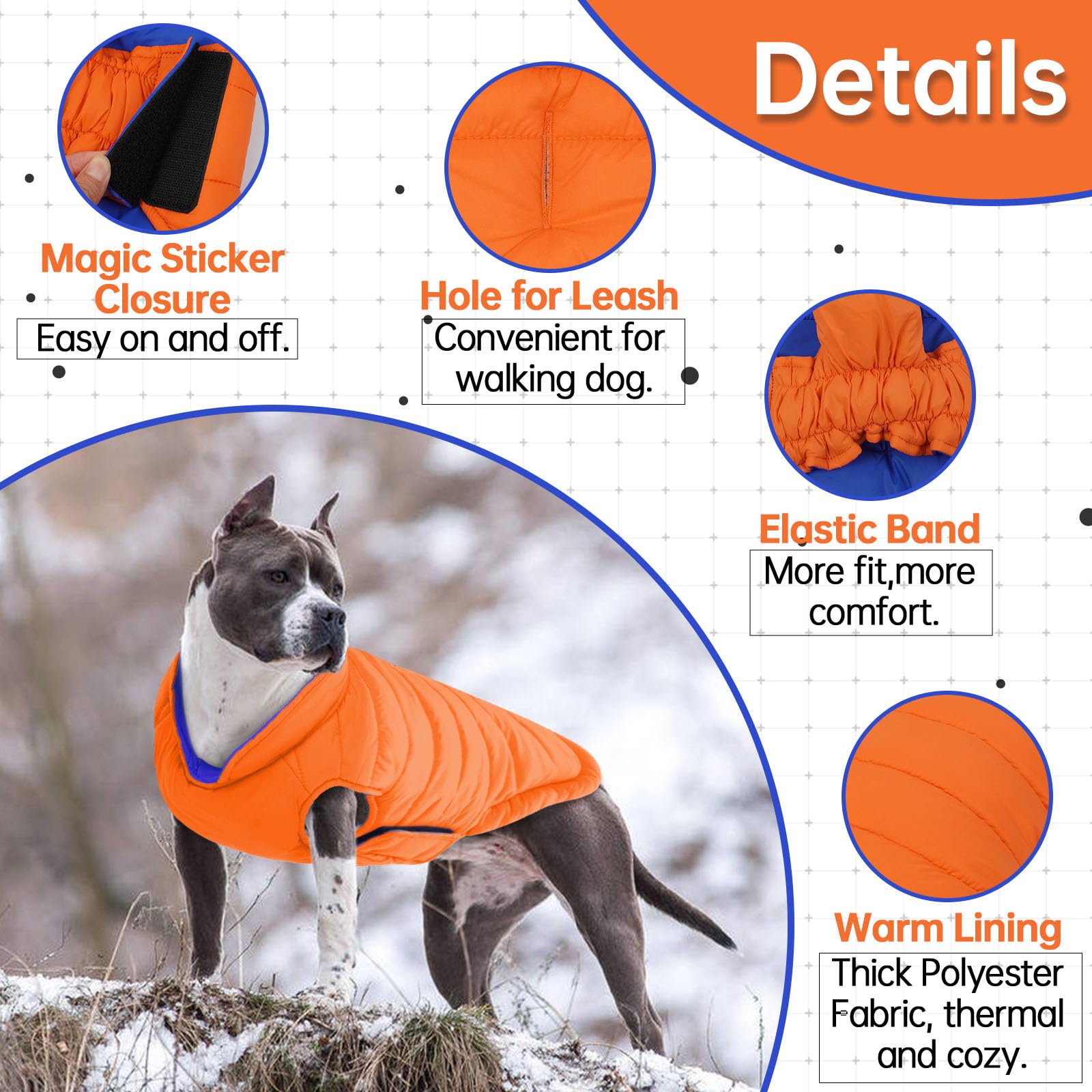 LeLePet windproof waterproof dog coat with fastener for secure fit