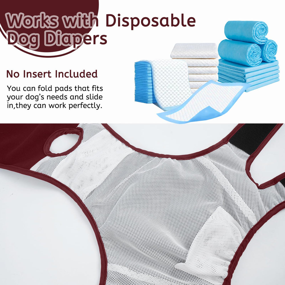 Leletail dog diaper supports incontinence and heat cycles safely.