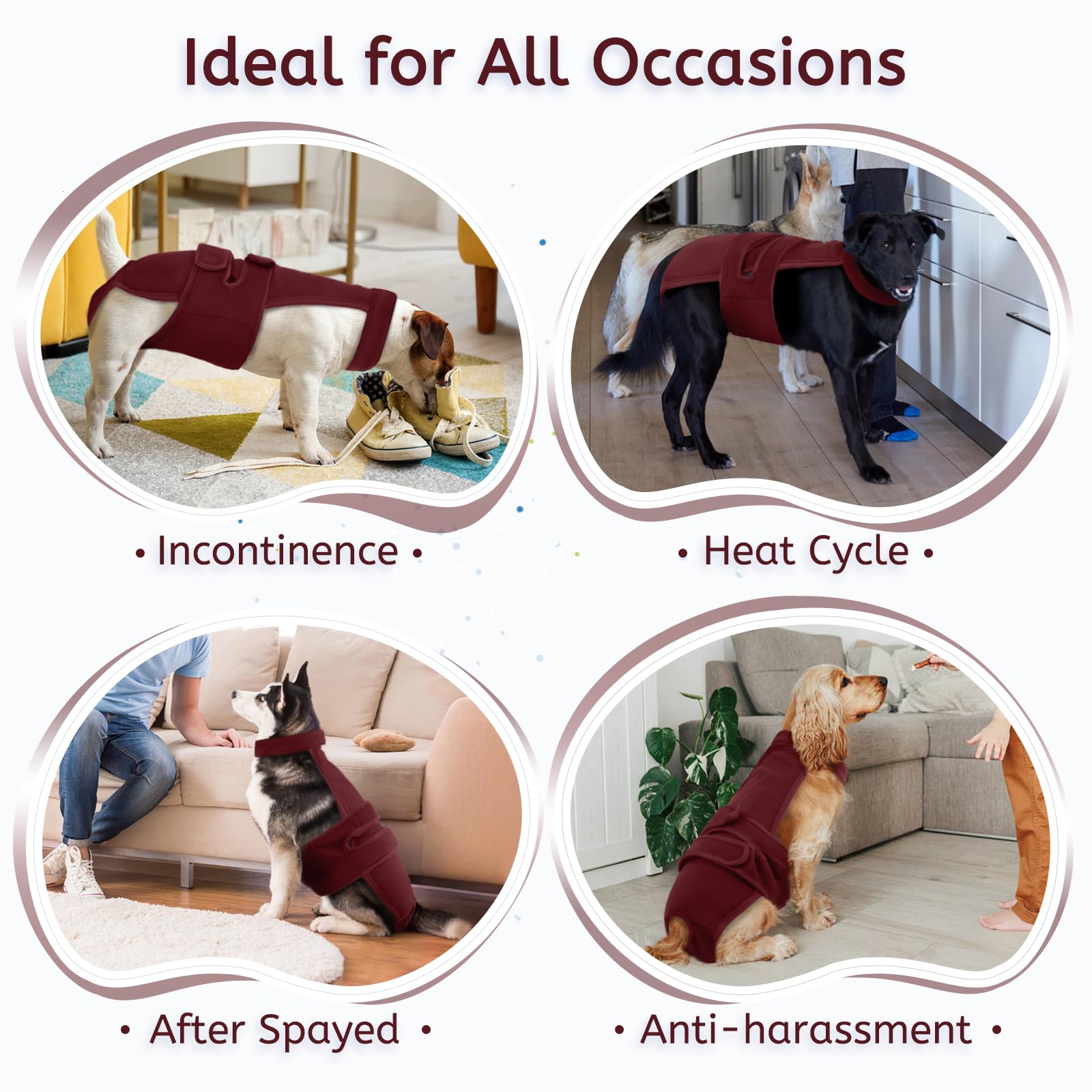 Leletail XS to XL fit covers small to large dogs.