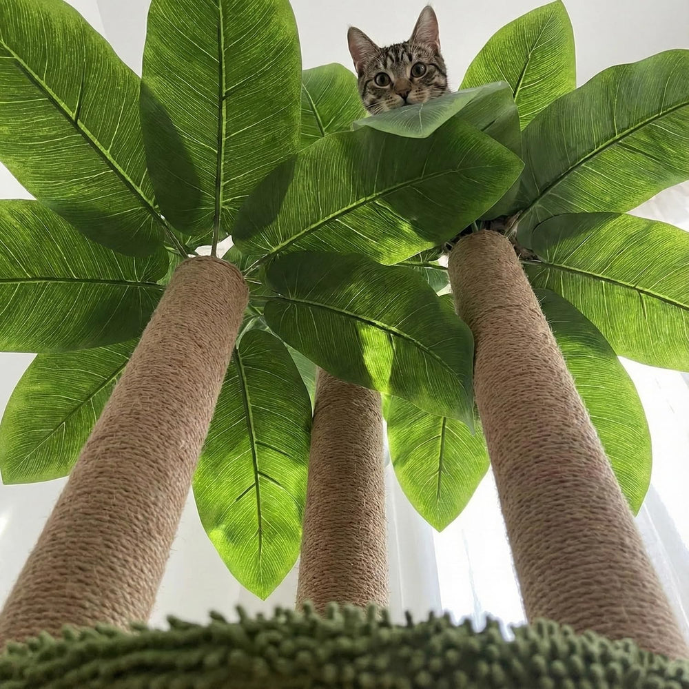 LEMONDA 31.5-inch cat tree suits kittens to adults for stretching and clawing.