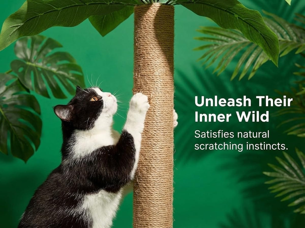 LEMONDA tropical-design cat scratching post blends with modern decor while entertaining curious cats.