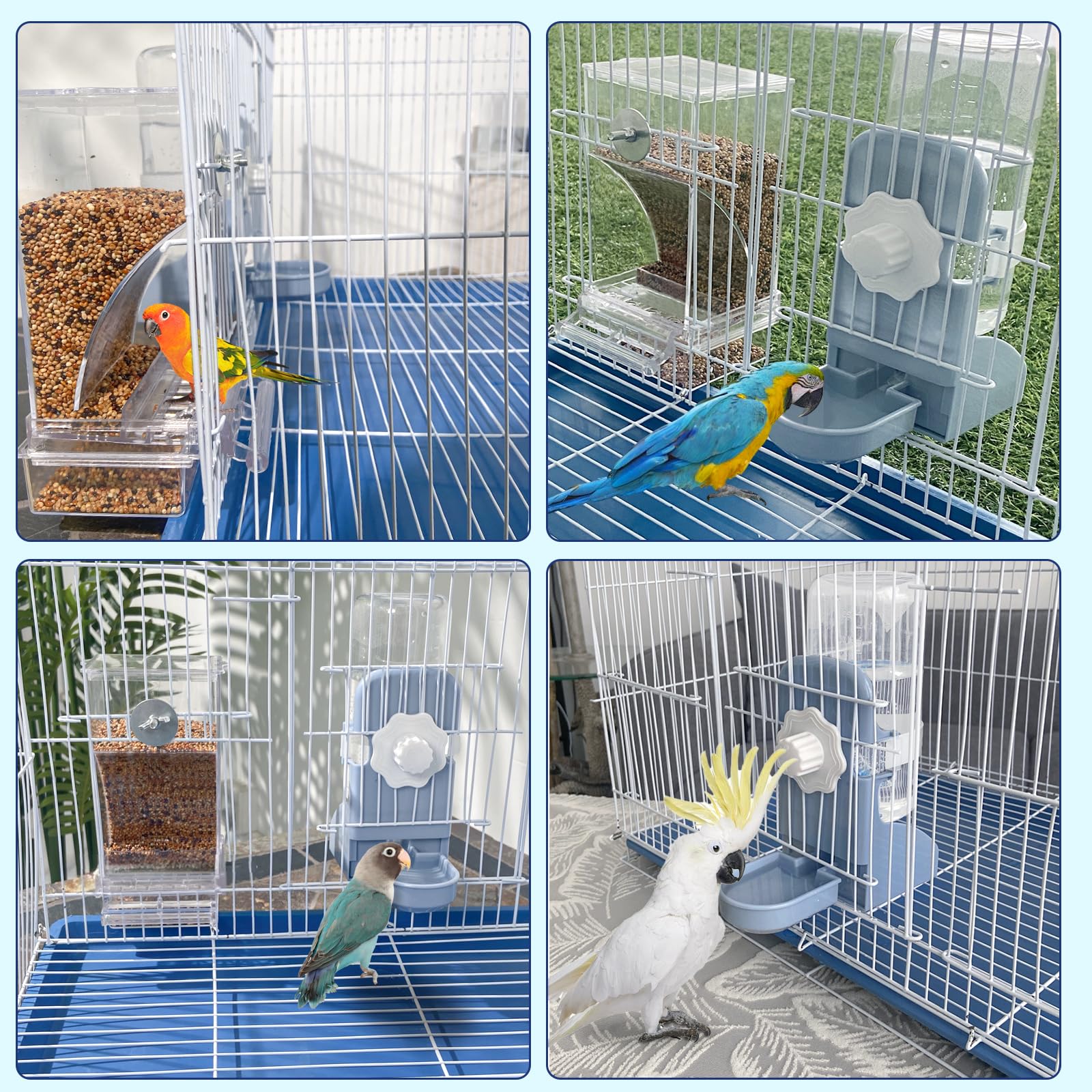 Lemtrflo automatic water dispenser visual supports hands-free hydration for birds.
