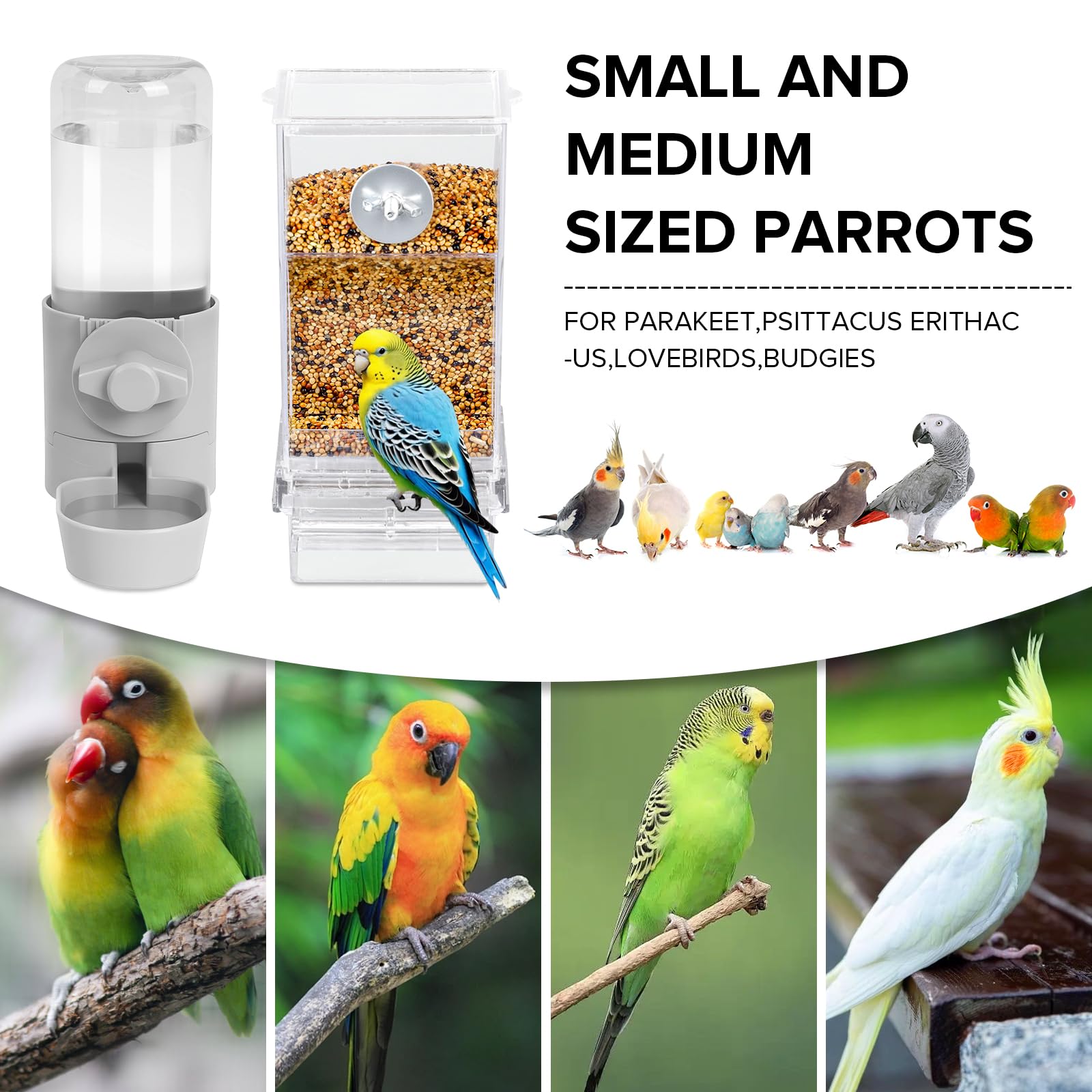 lemtrflo bird feeder inside cage secured for stable feeding