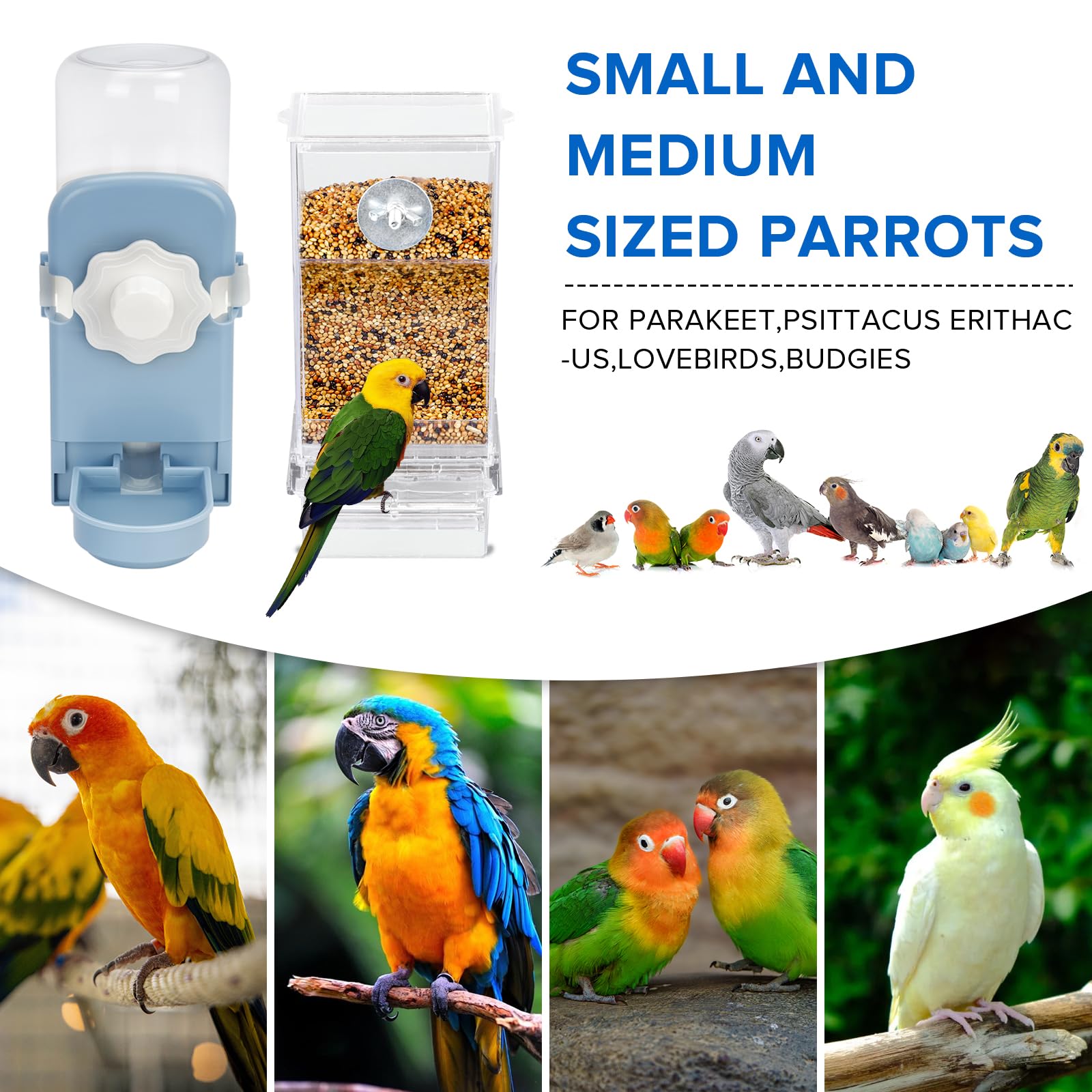 Lemtrflo crystal-clear acrylic feeder allows quick level checks and tidy refills.