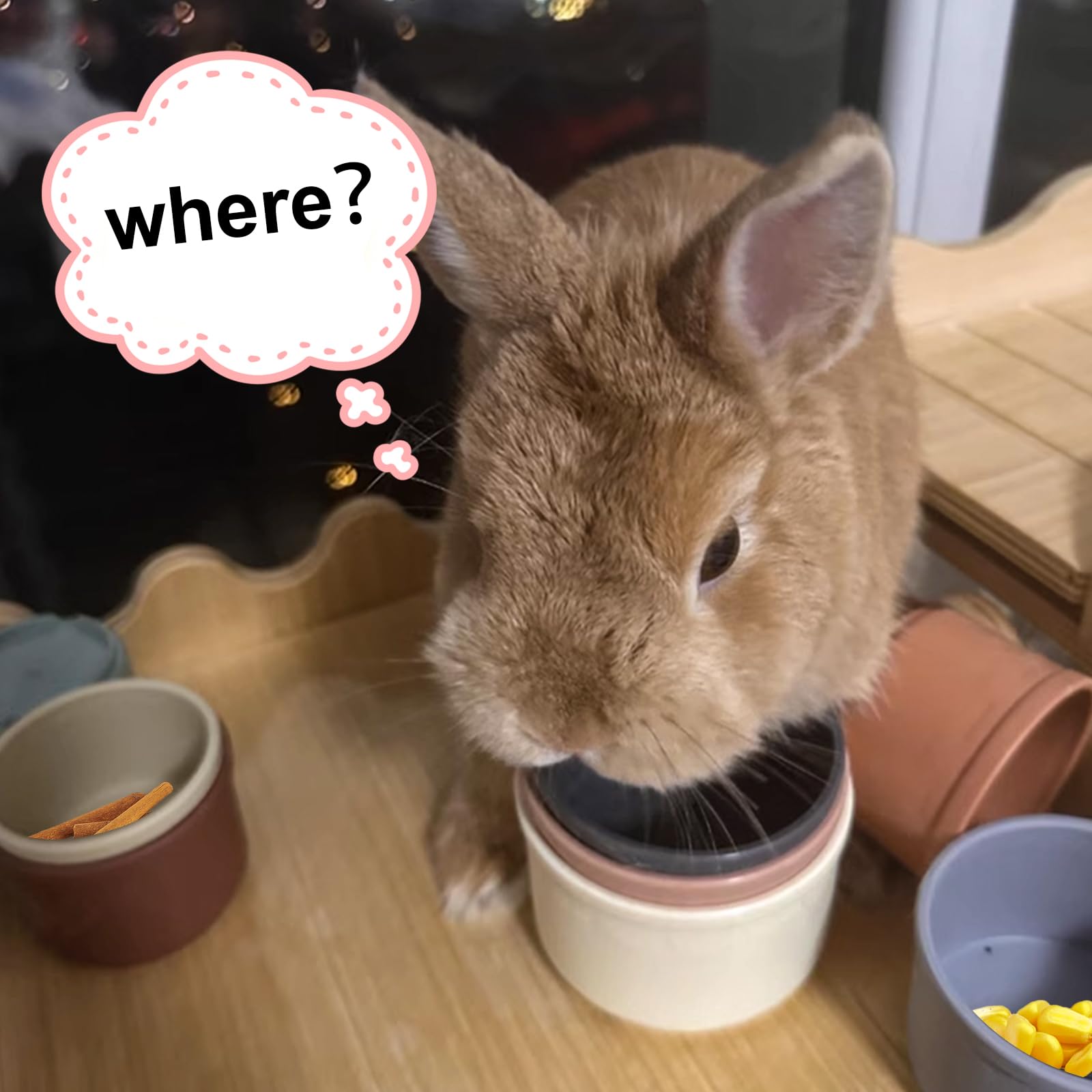 lenpestia bunny stacking cups pet-activities highlights versatile play for rabbits, guinea pigs, and small animals.