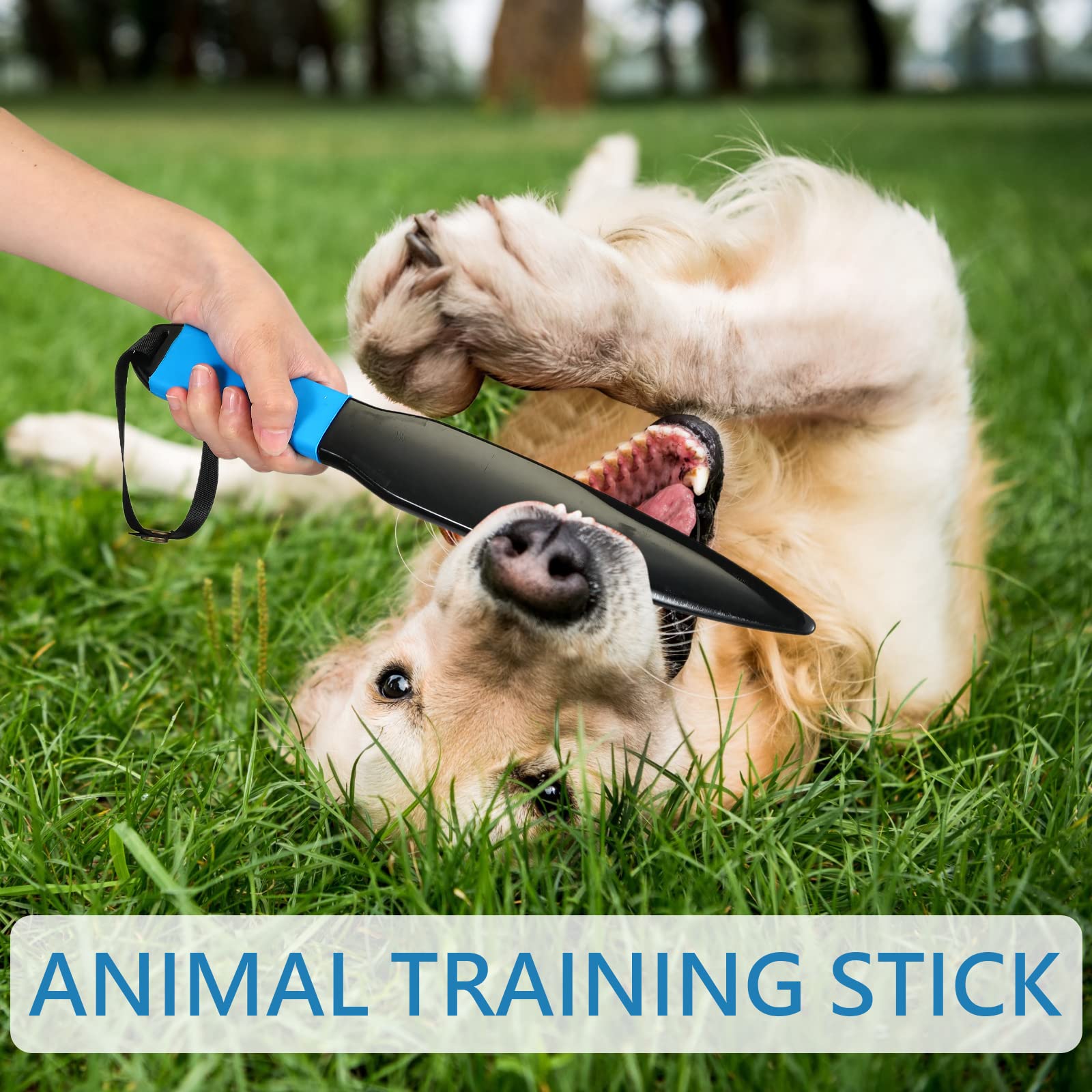 Lenwen nylon construction ensures safe, durable training for small to medium dogs