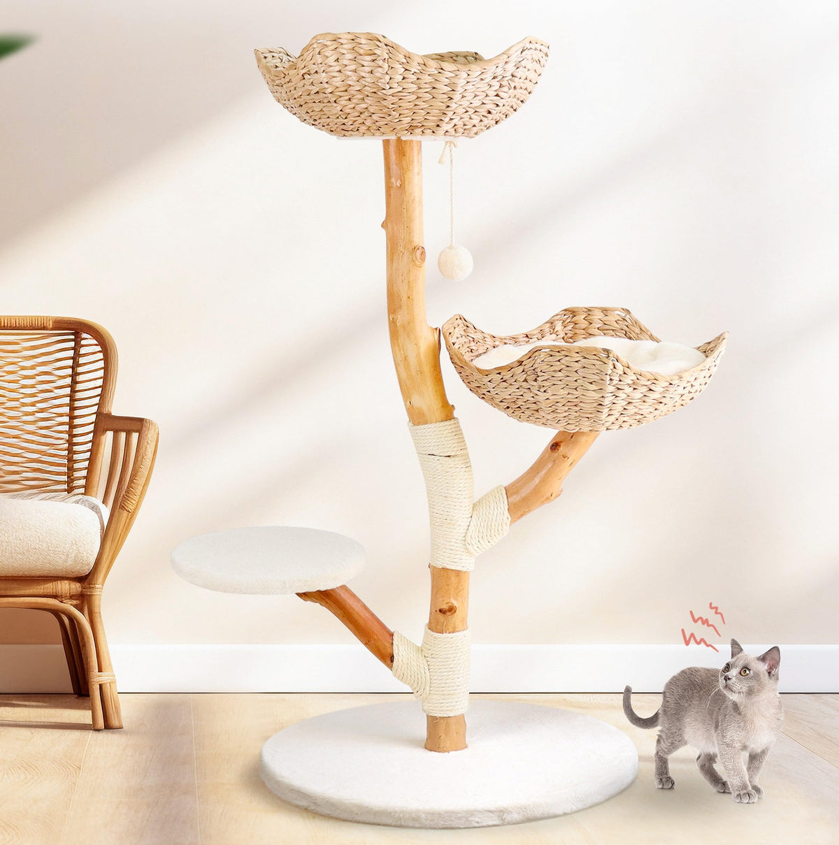 LEO & LEXI real wood cat tree base provides stable support for large indoor cats.