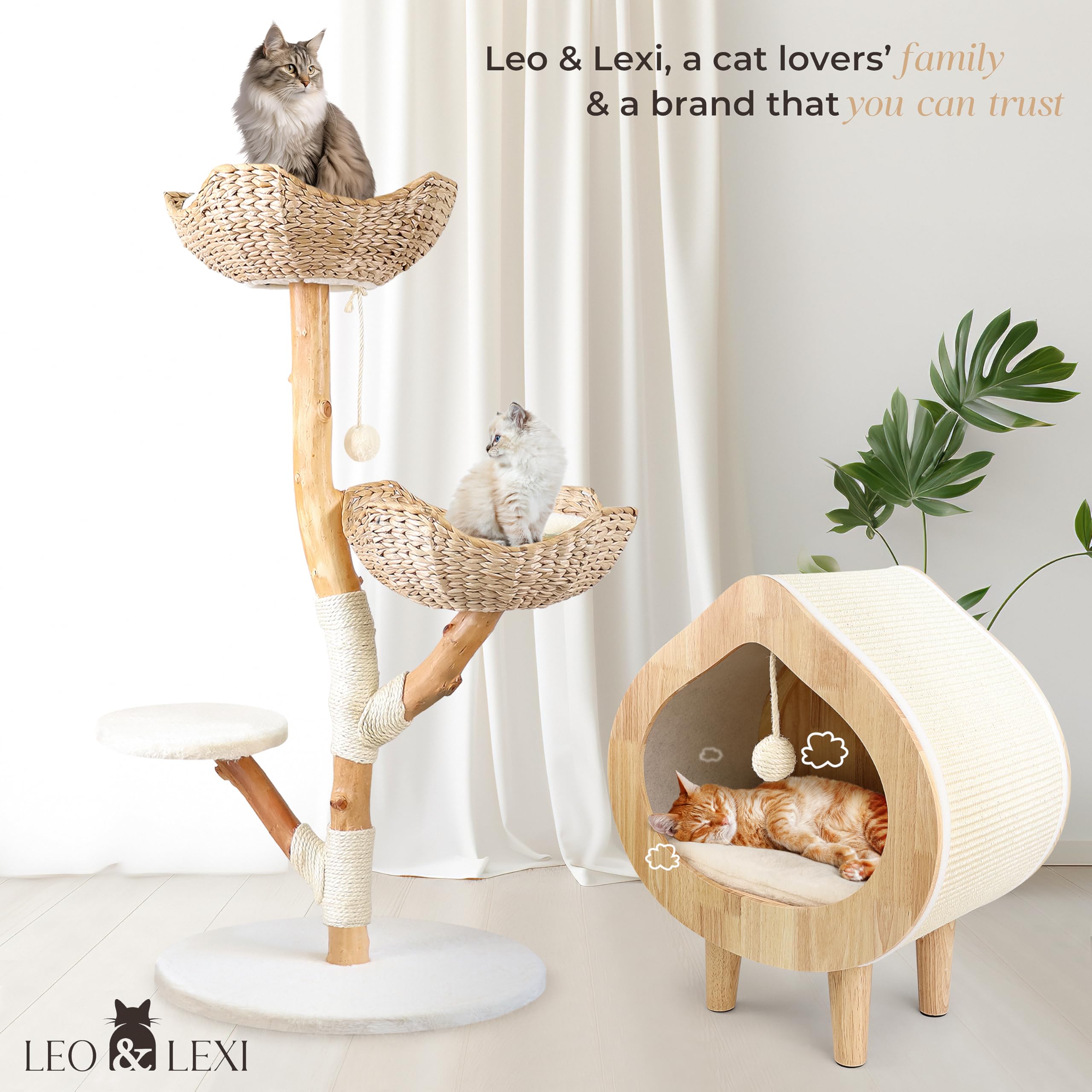 LEO & LEXI wicker condo cloud offers cozy resting space for cats.
