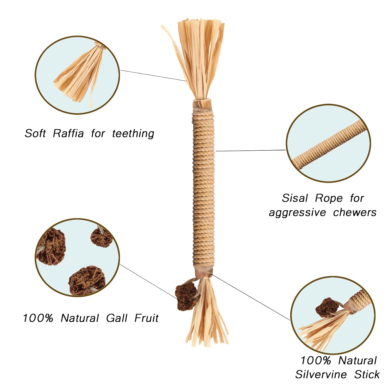 Leoezx Silvervine Sticks cat chewing action demonstrates interactive enrichment.