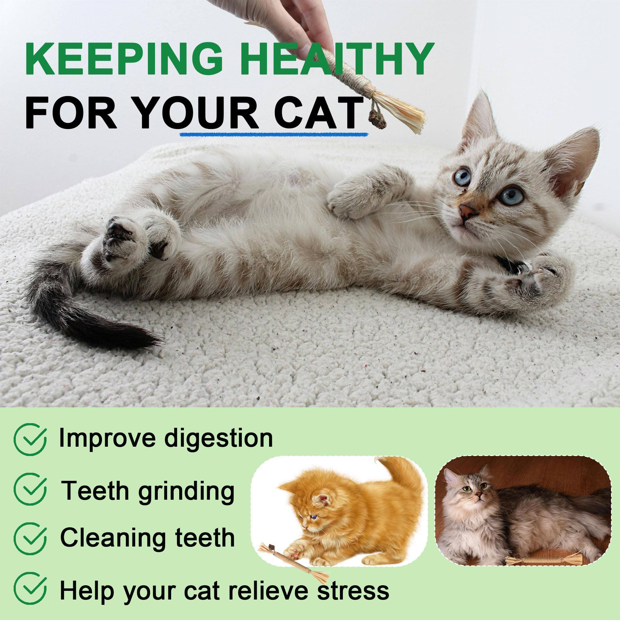 Leoezx Silvervine Sticks measurements show compact size for easy storage.